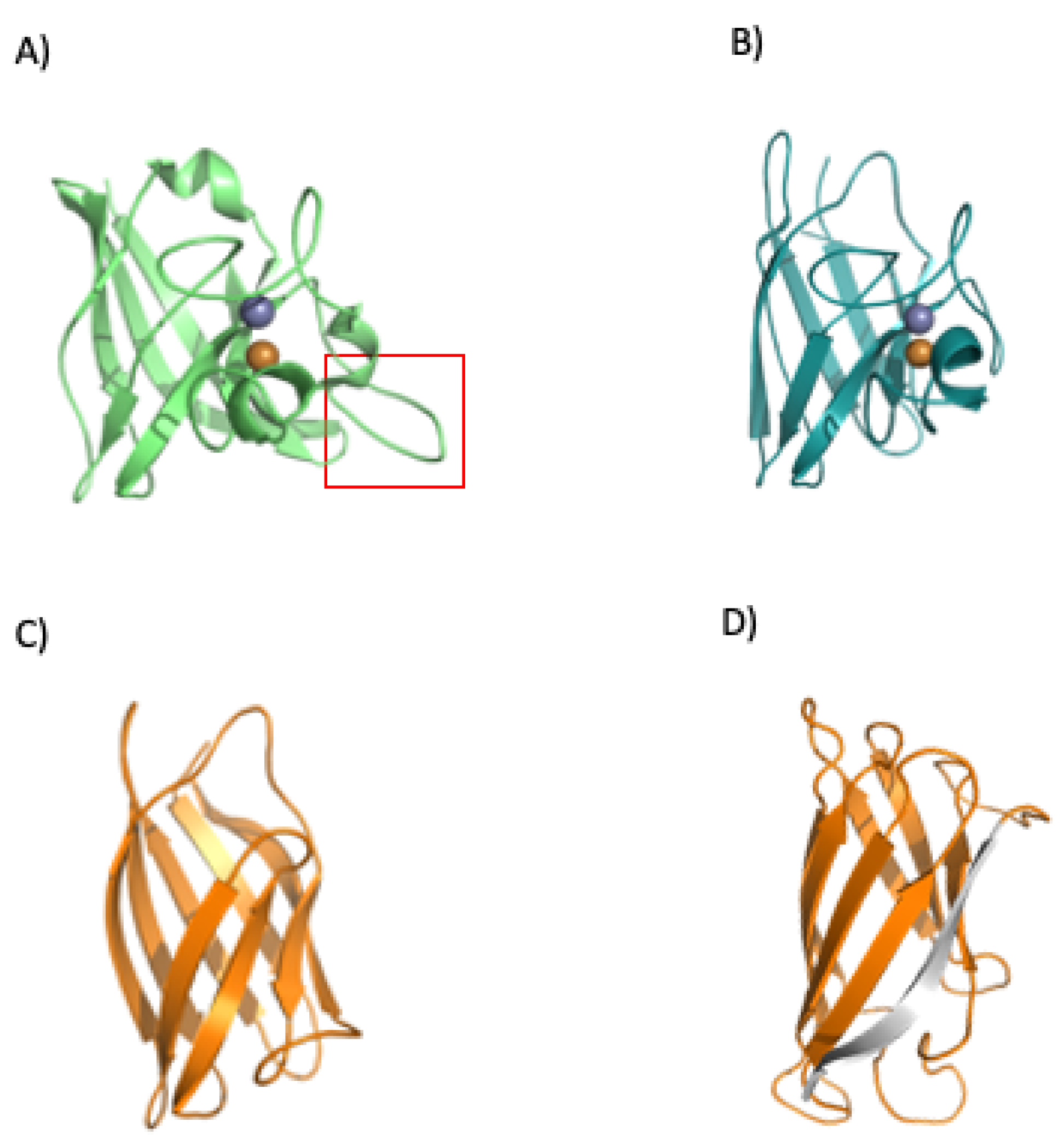 Microorganisms 10 02115 g010