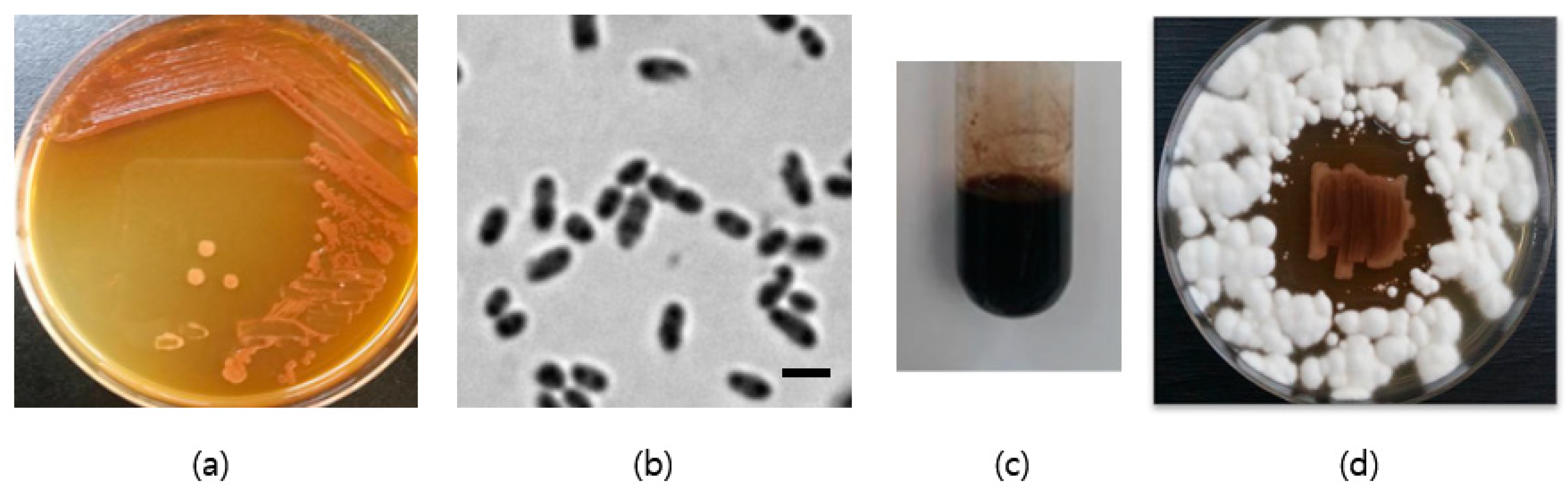 Microorganisms 10 02130 g002 Microorganisms 10 02130 g002