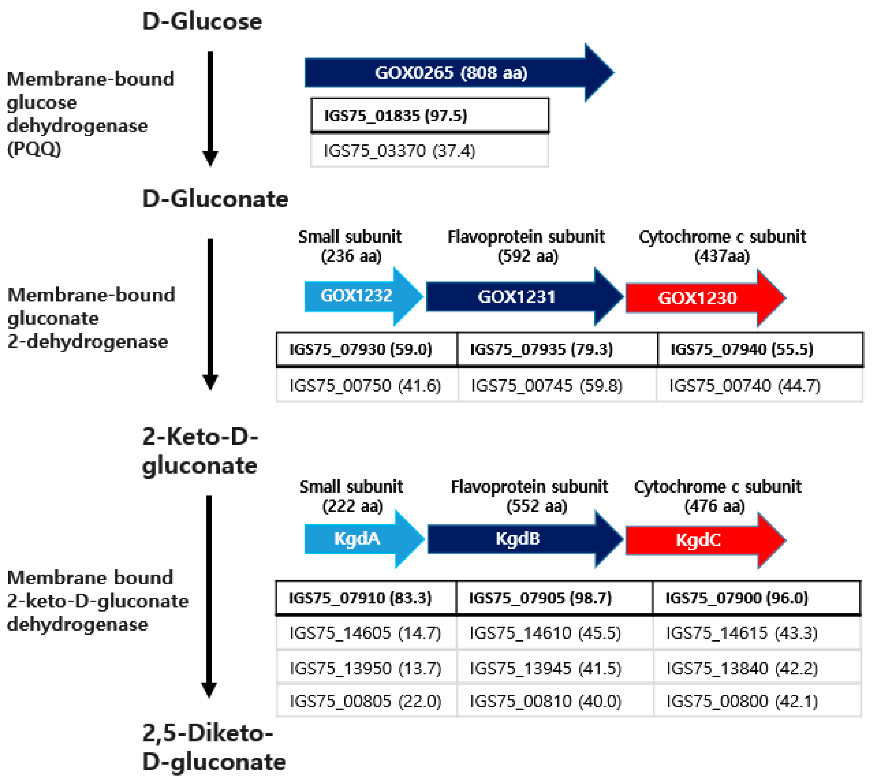 Microorganisms 10 02130 g006 Microorganisms 10 02130 g006
