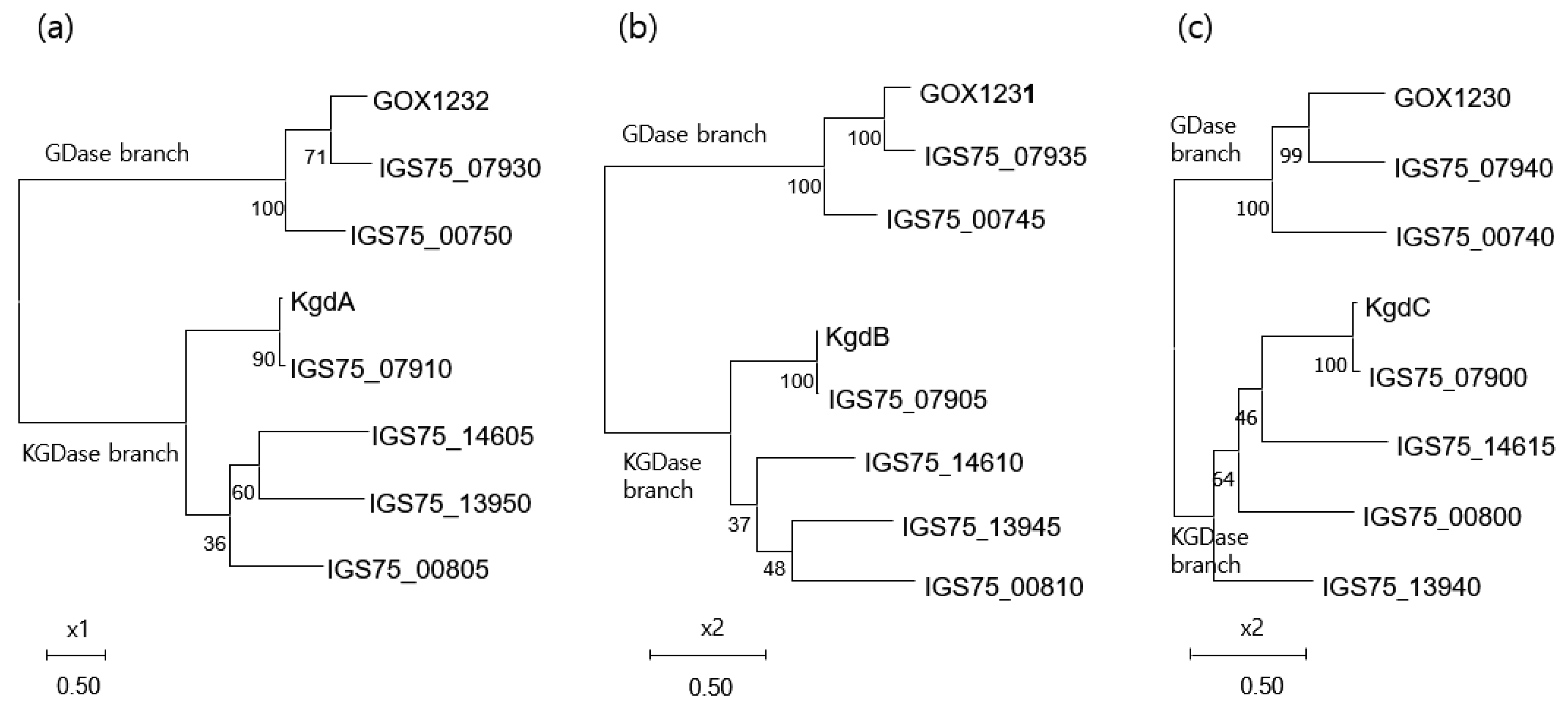 Microorganisms 10 02130 g007 Microorganisms 10 02130 g007