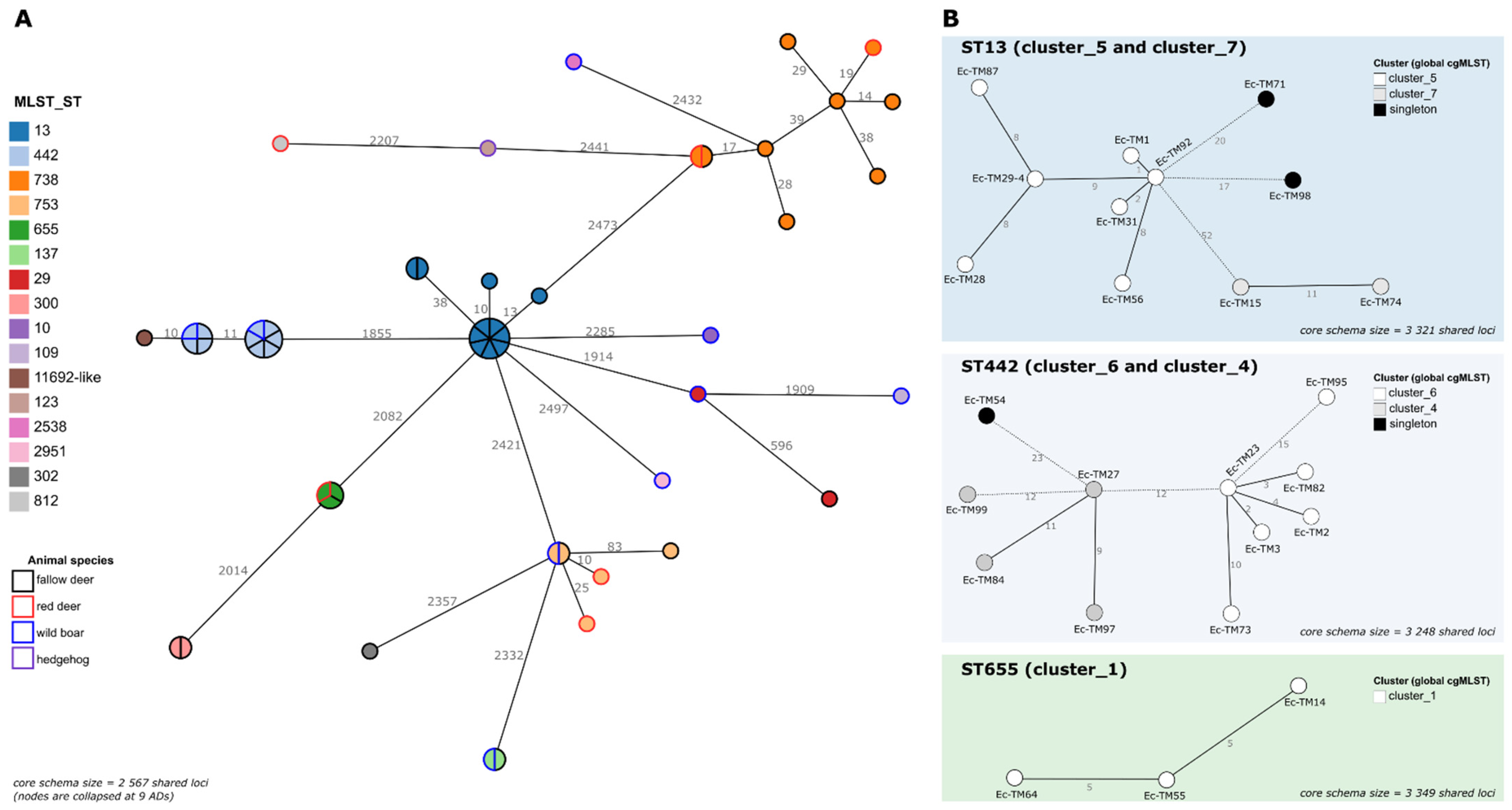 Microorganisms 10 02132 g001 Microorganisms 10 02132 g001