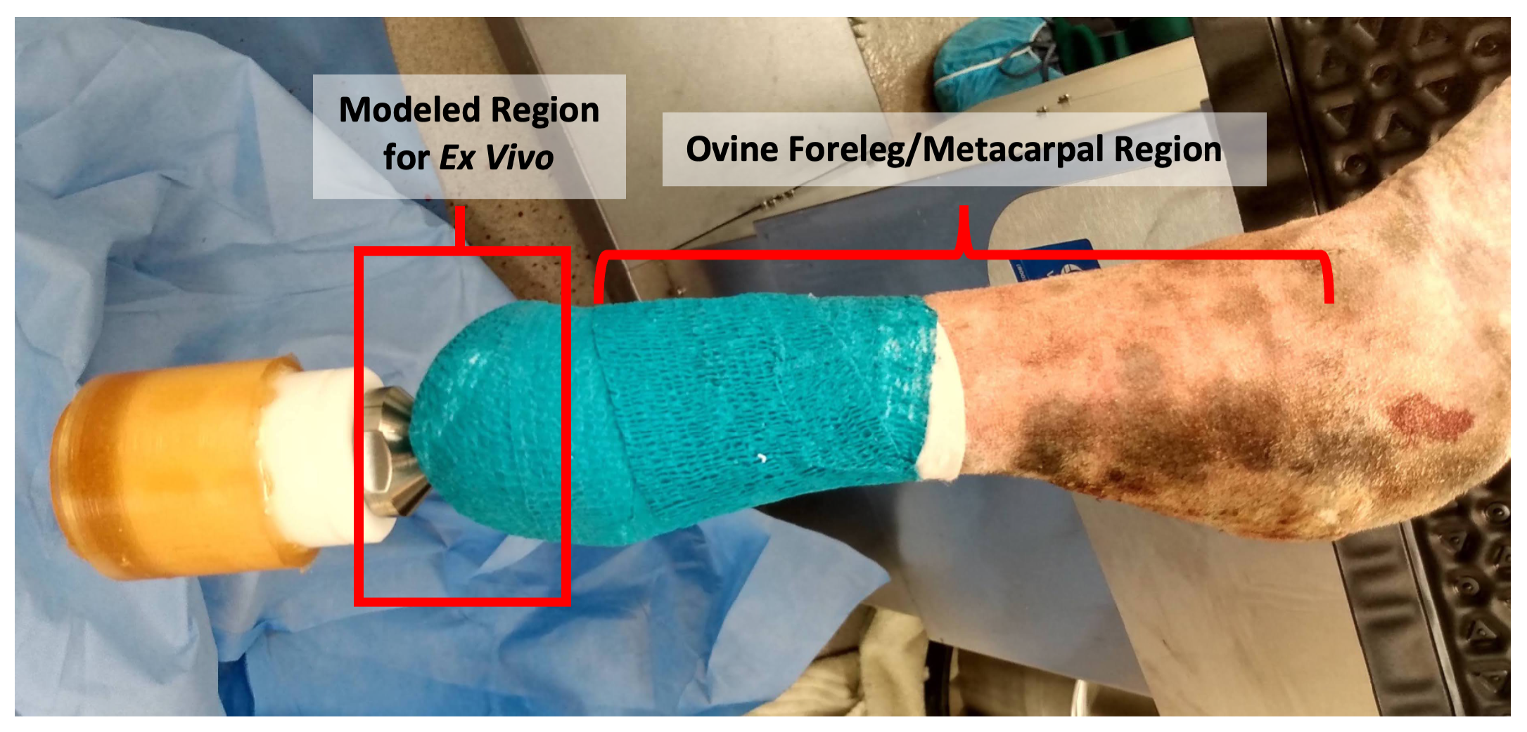 Microorganisms 10 02133 g001
