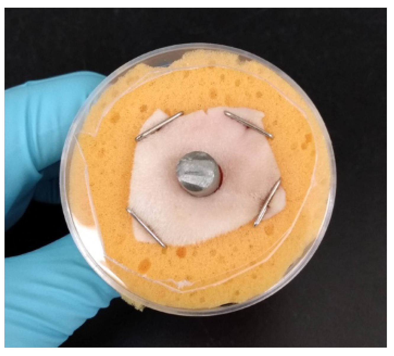 Microorganisms 10 02133 g002