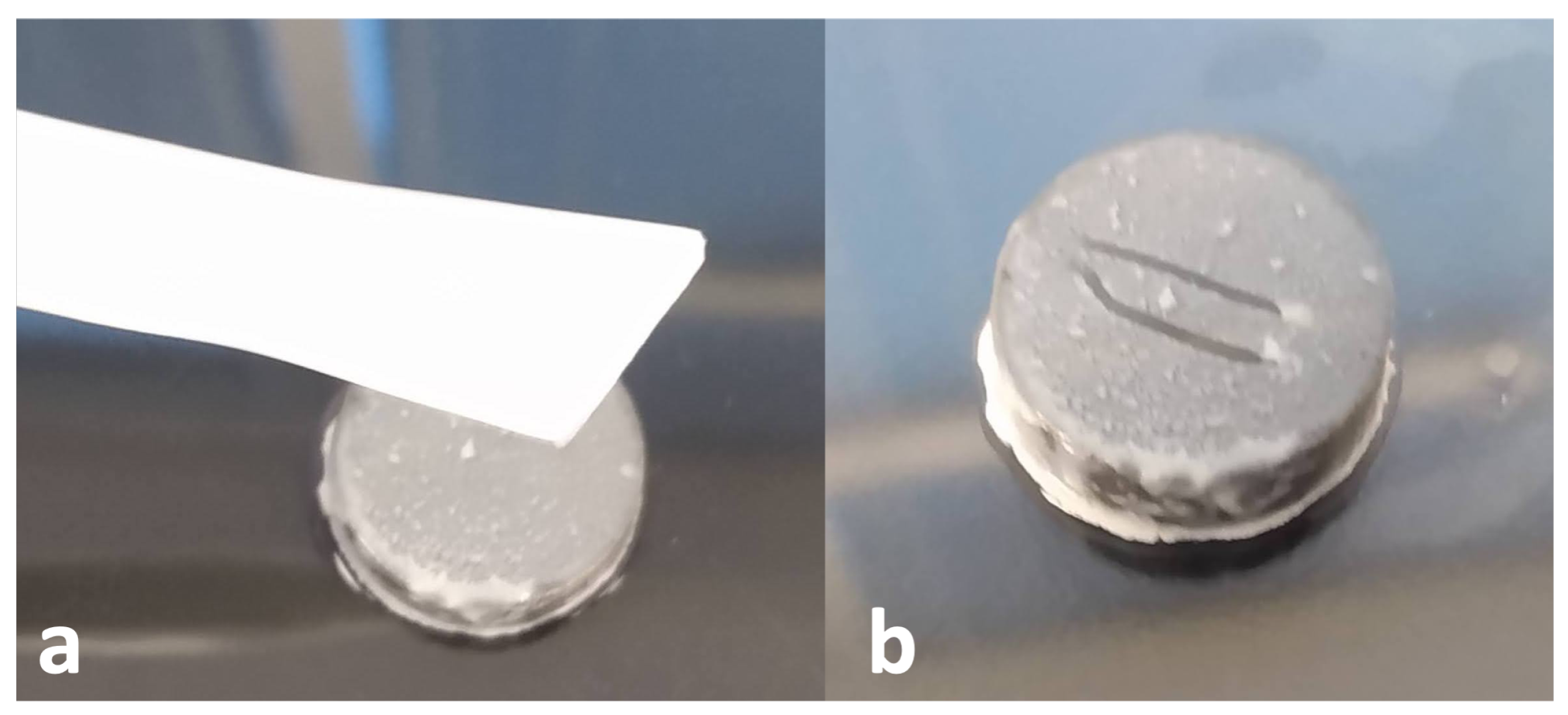 Microorganisms 10 02133 g003