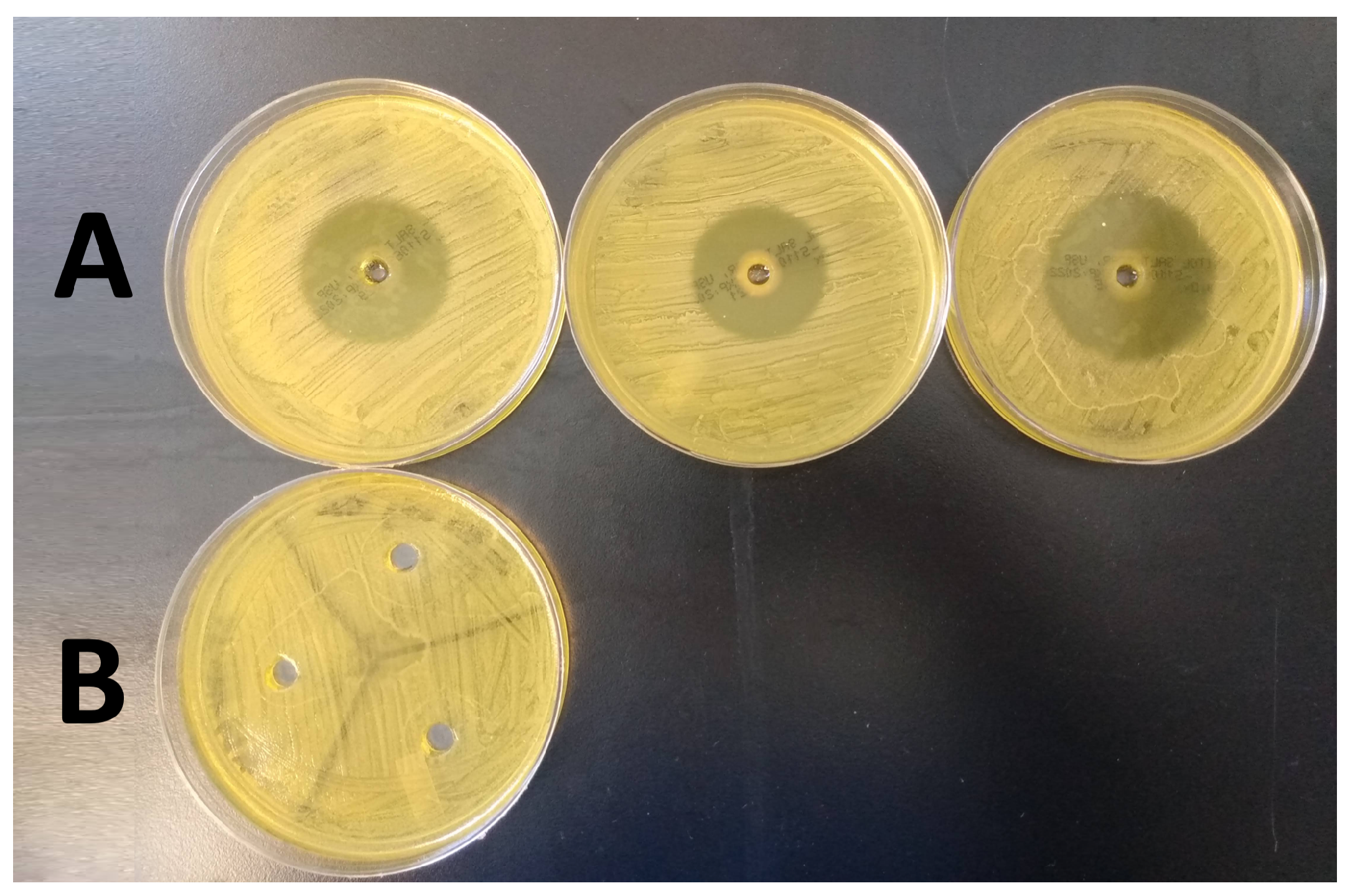 Microorganisms 10 02133 g006