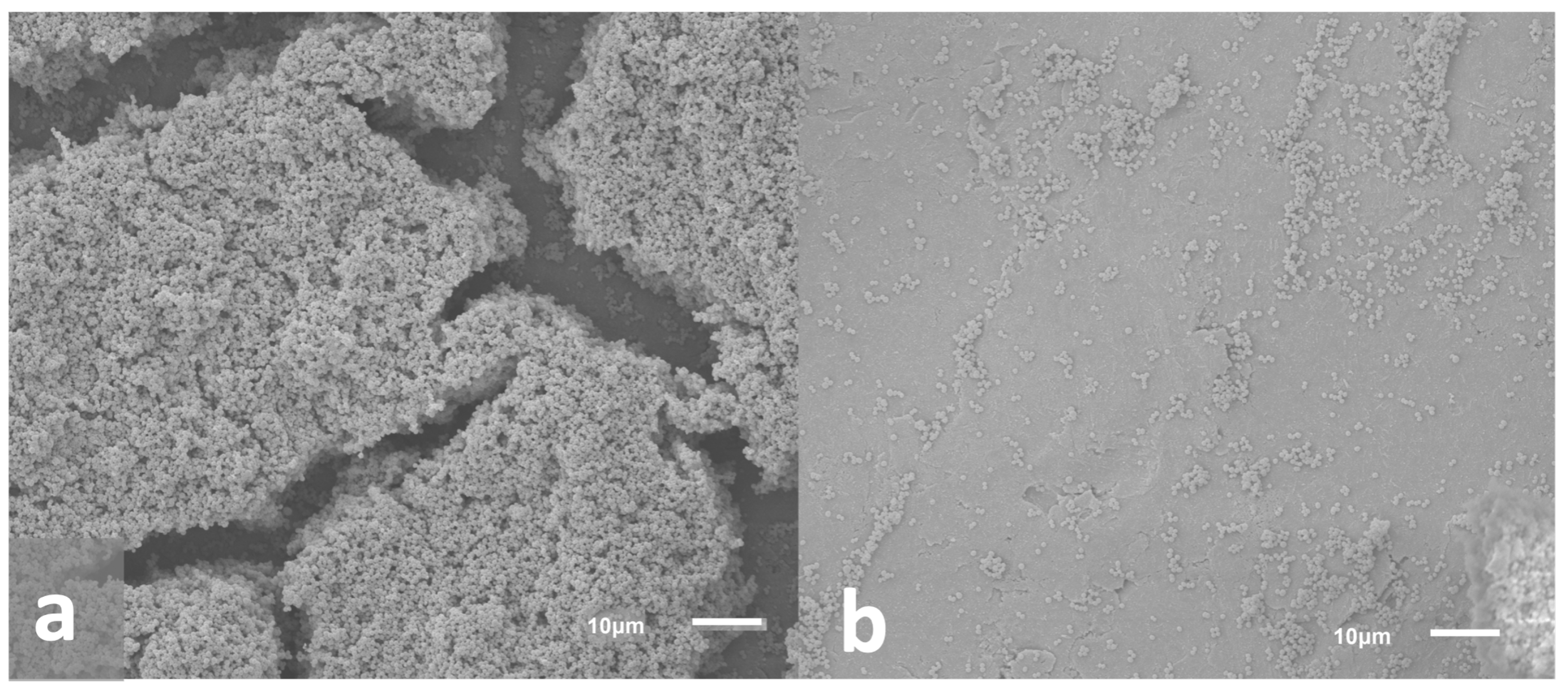 Microorganisms 10 02133 g007