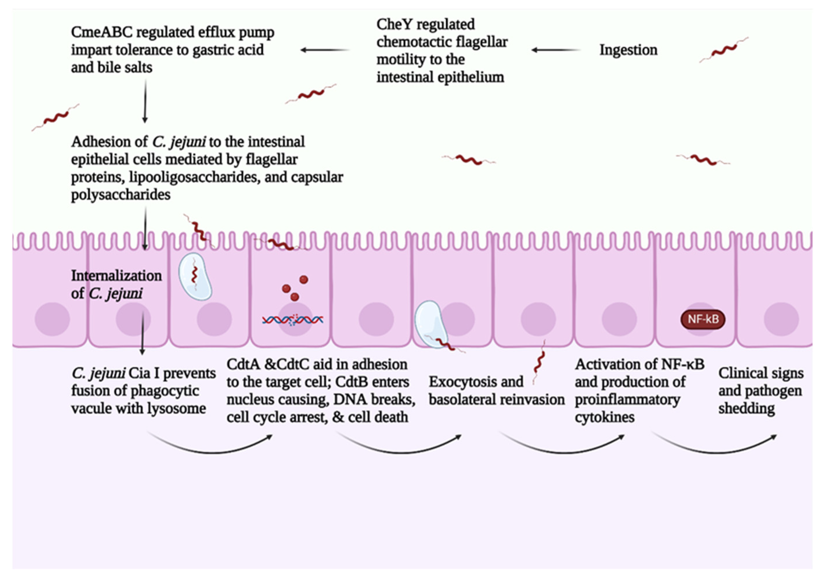 Microorganisms 10 02134 g002