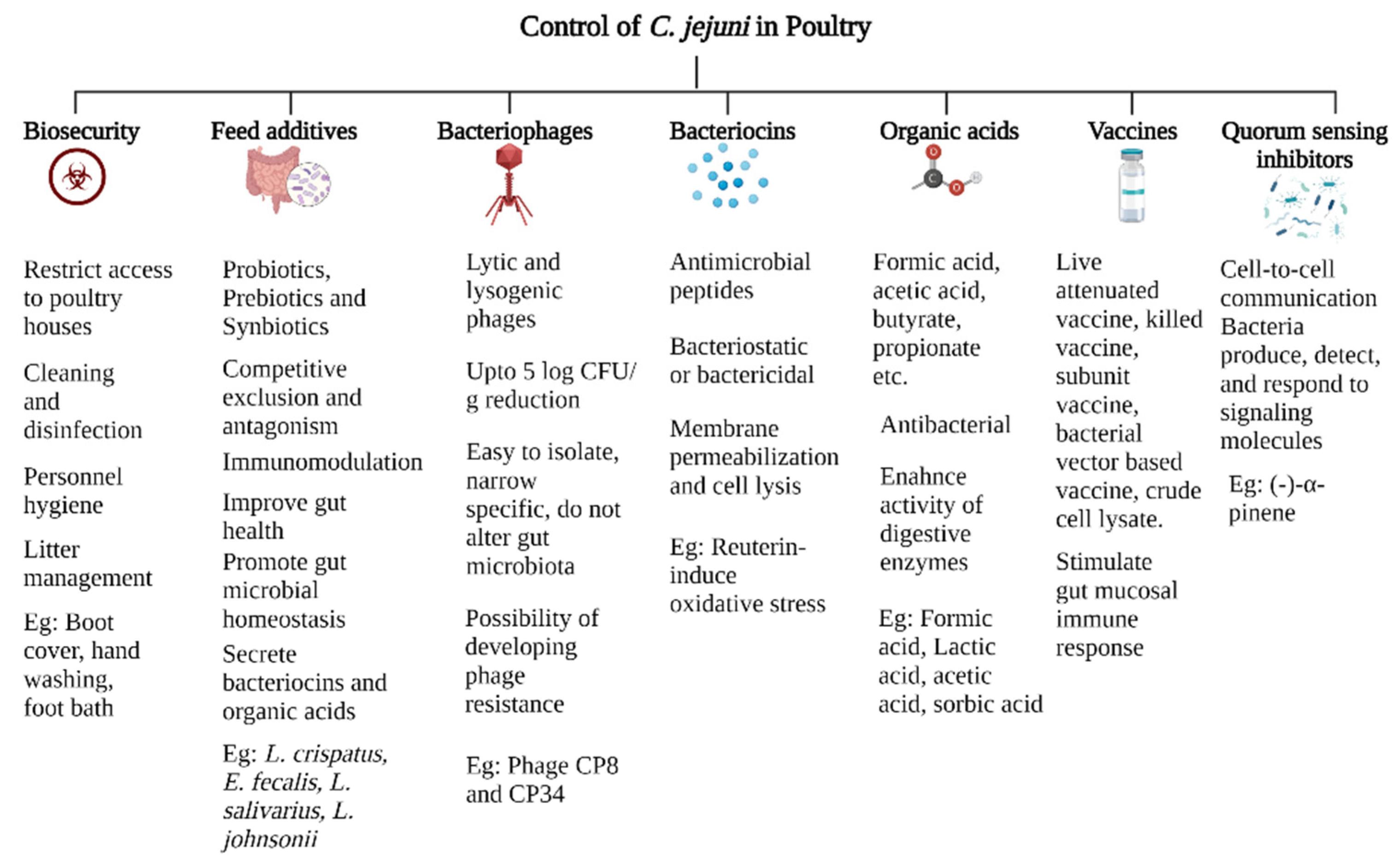 Microorganisms 10 02134 g003