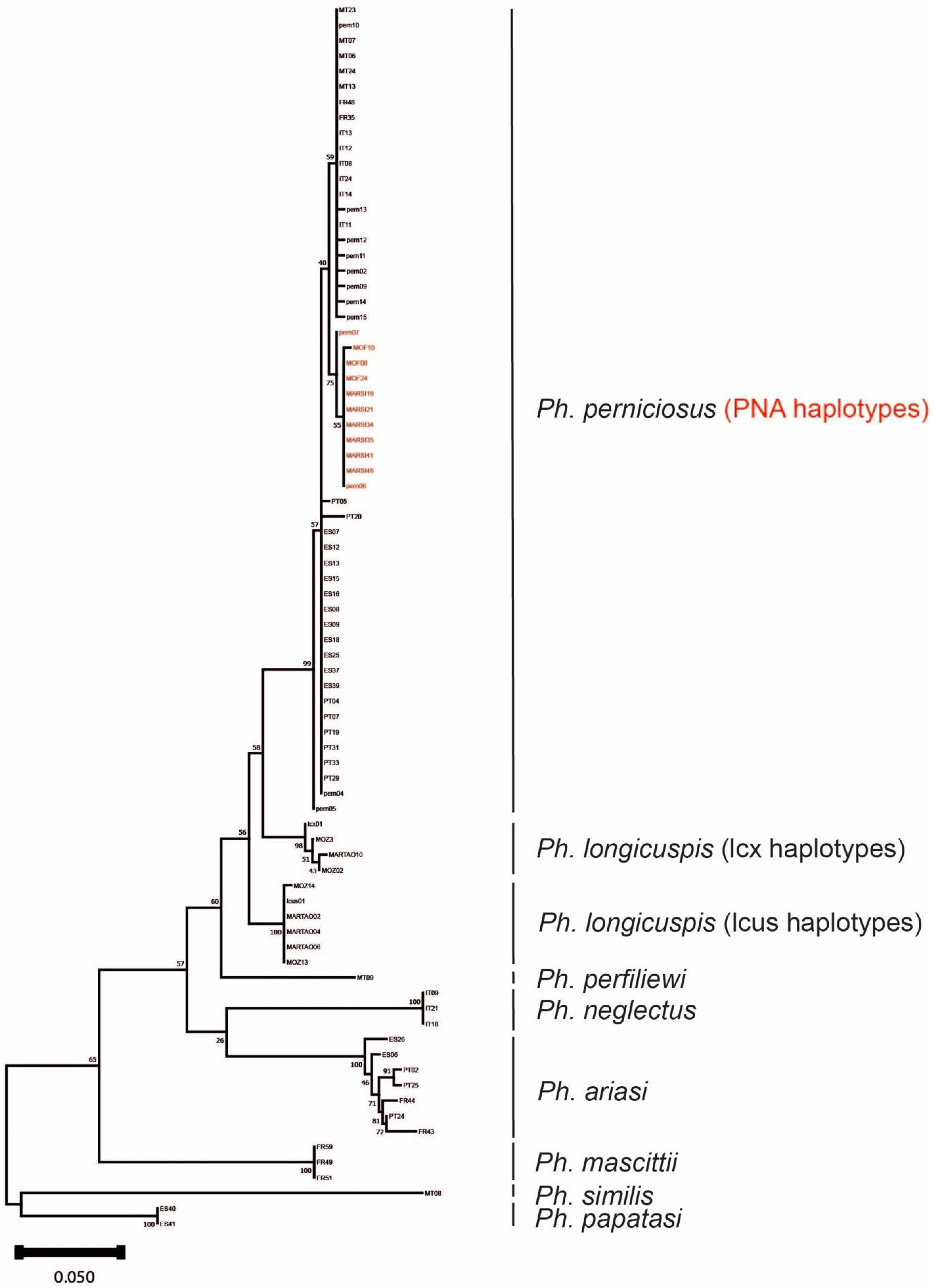 Microorganisms 10 02135 g001