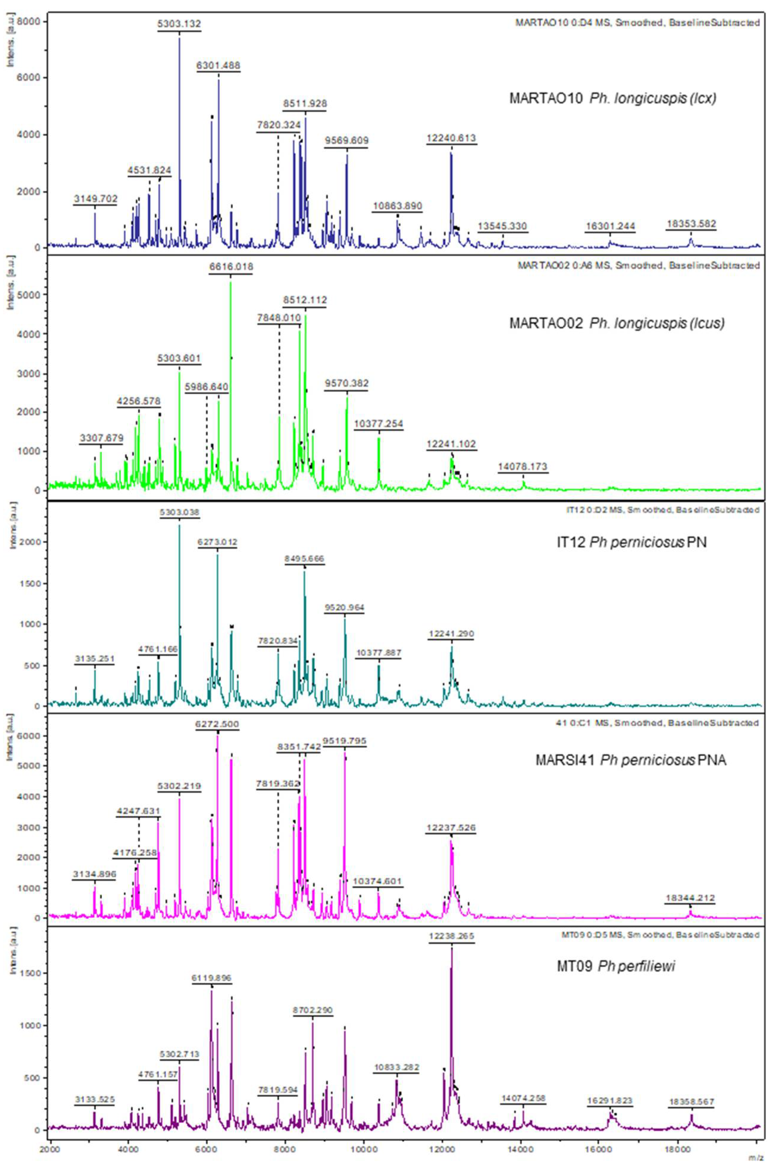 Microorganisms 10 02135 g002