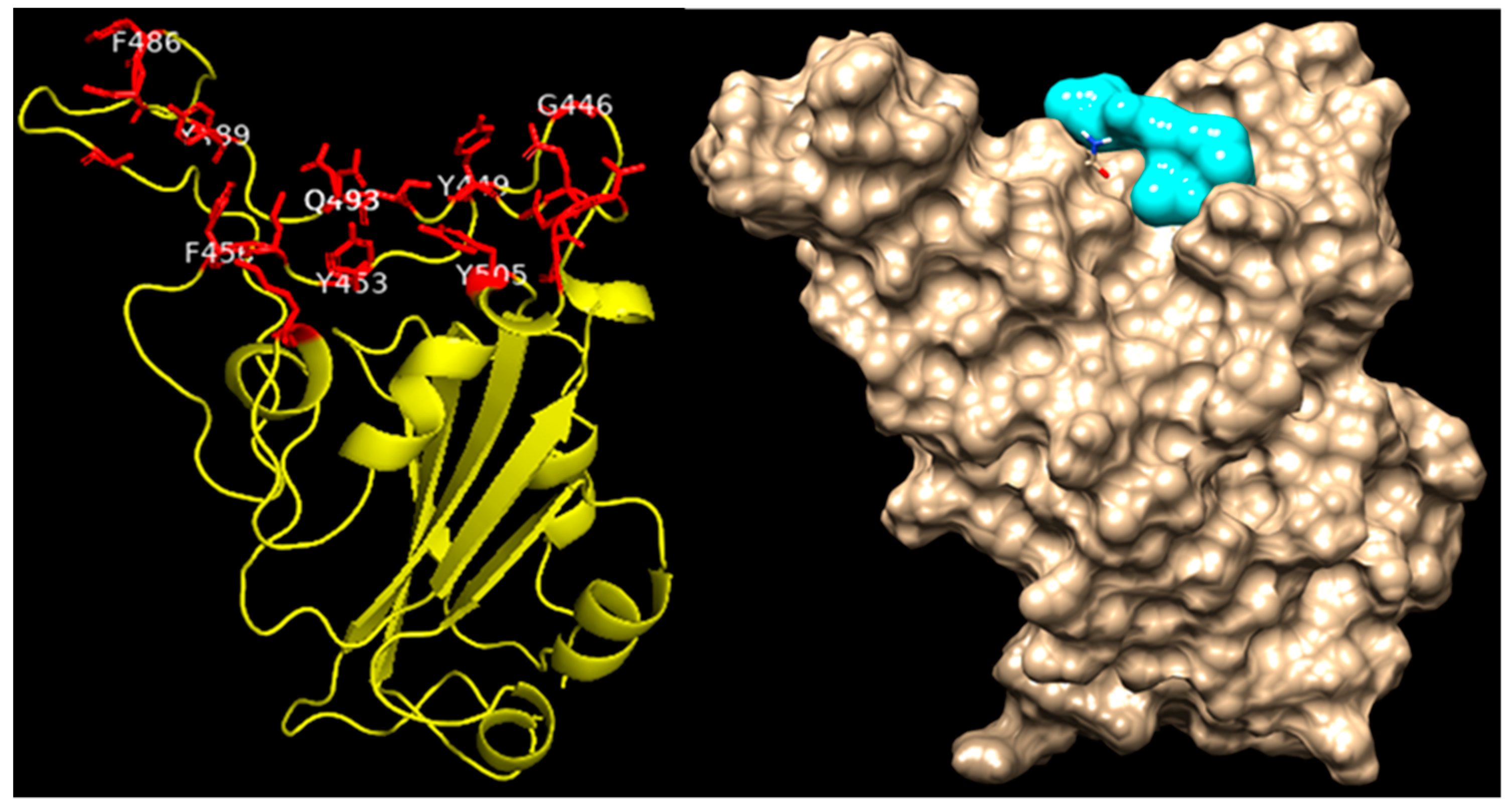 Microorganisms 10 02145 g004