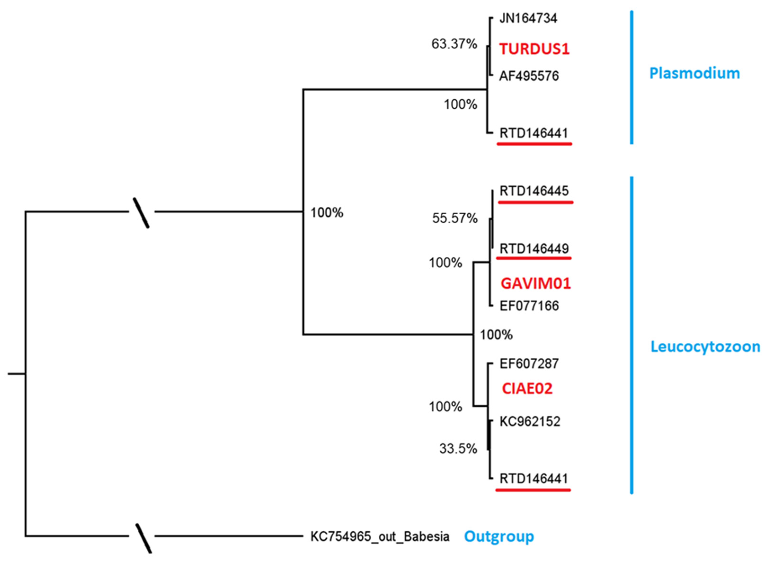 Microorganisms 10 02147 g001
