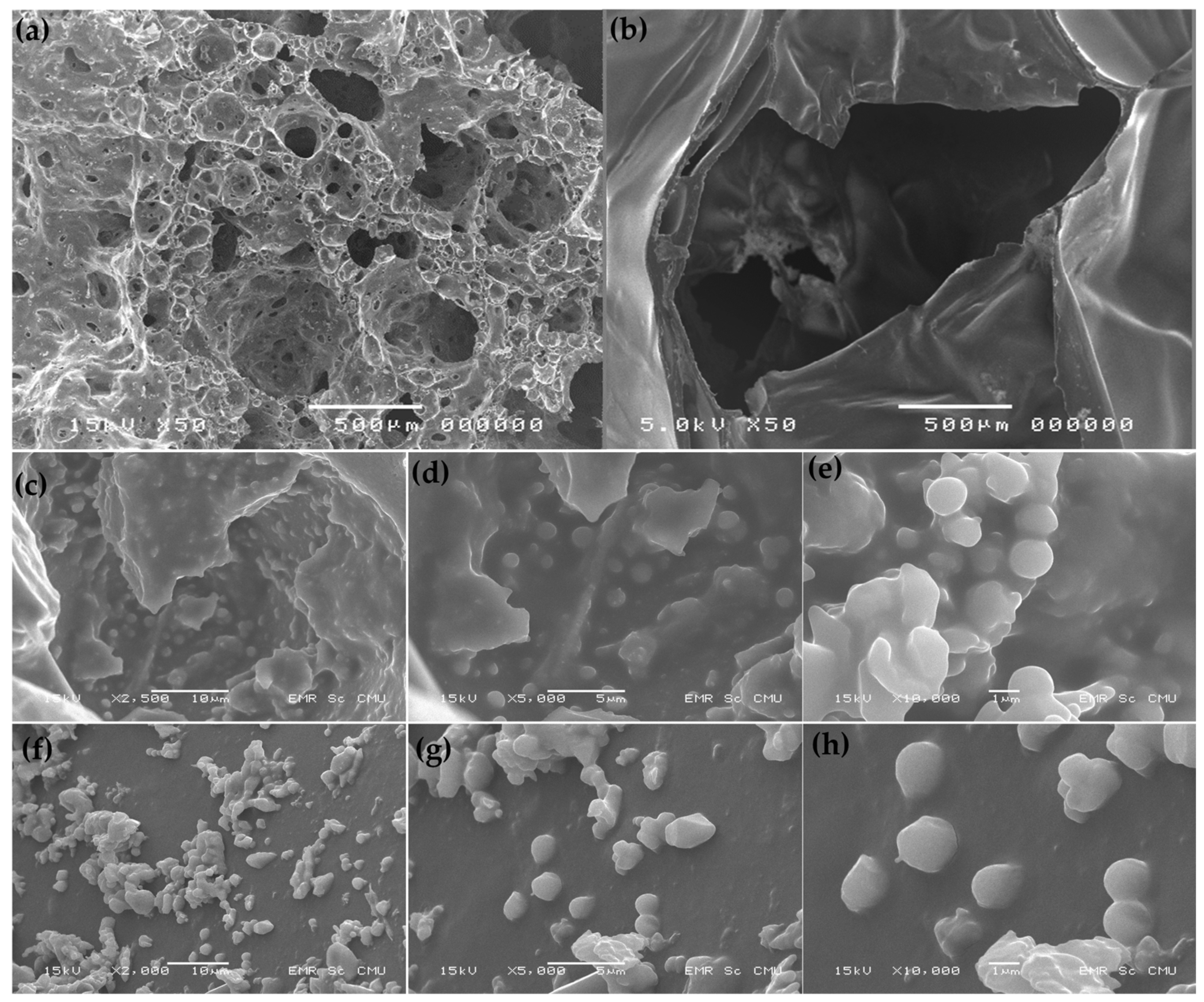 Microorganisms 10 02148 g002 Microorganisms 10 02148 g002