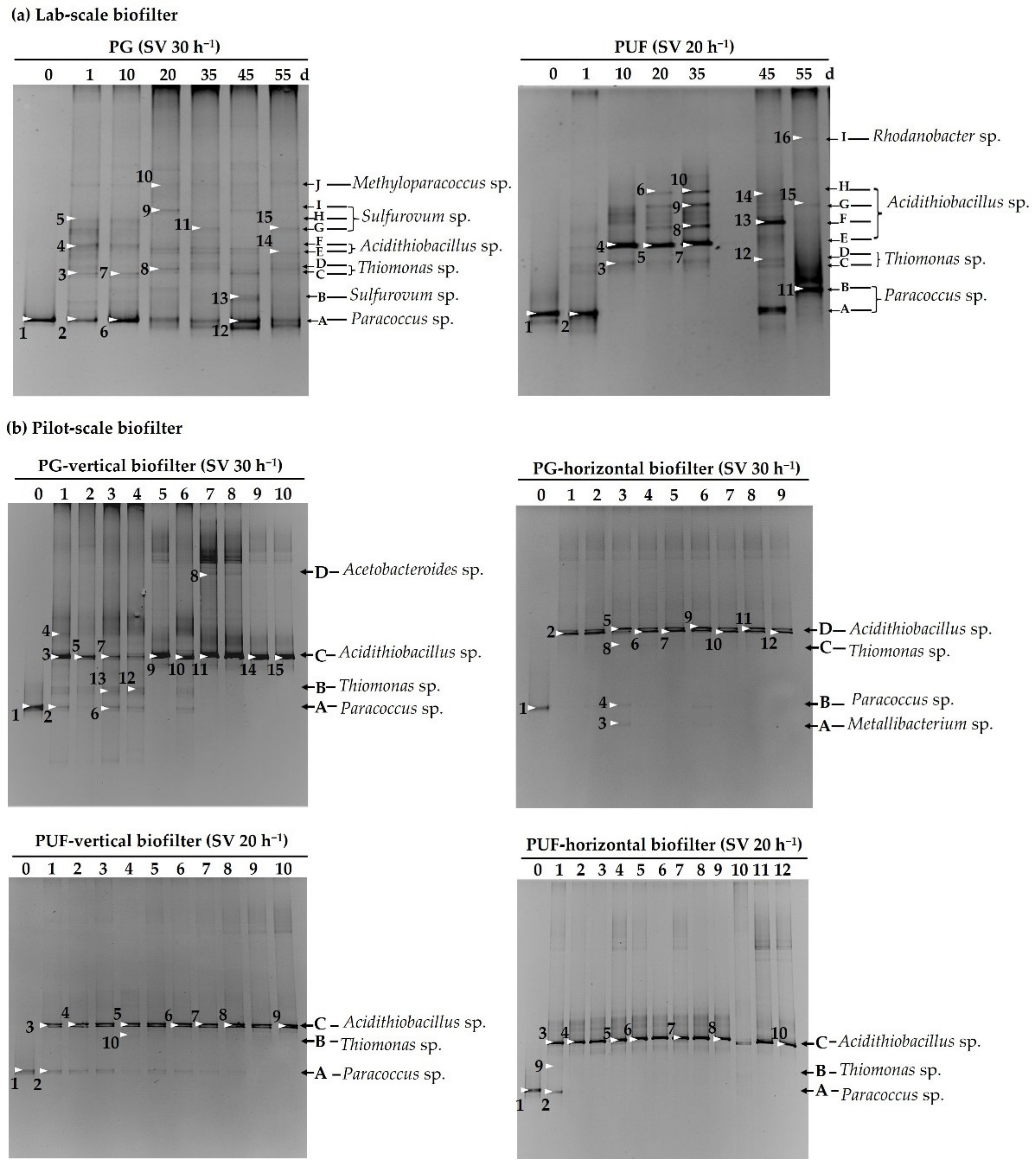Microorganisms 10 02148 g007 Microorganisms 10 02148 g007