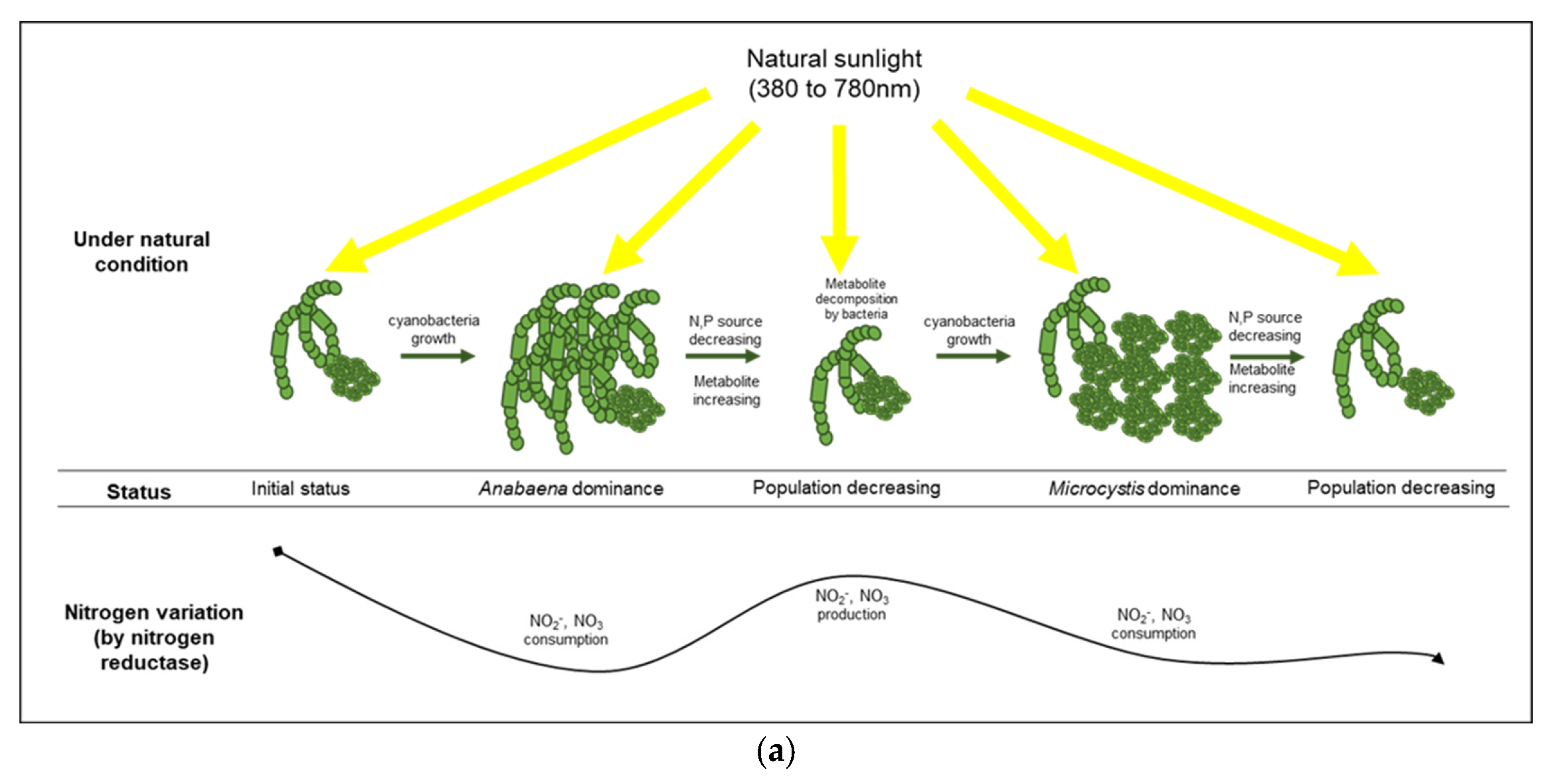 Microorganisms 10 02150 g006a Microorganisms 10 02150 g006a