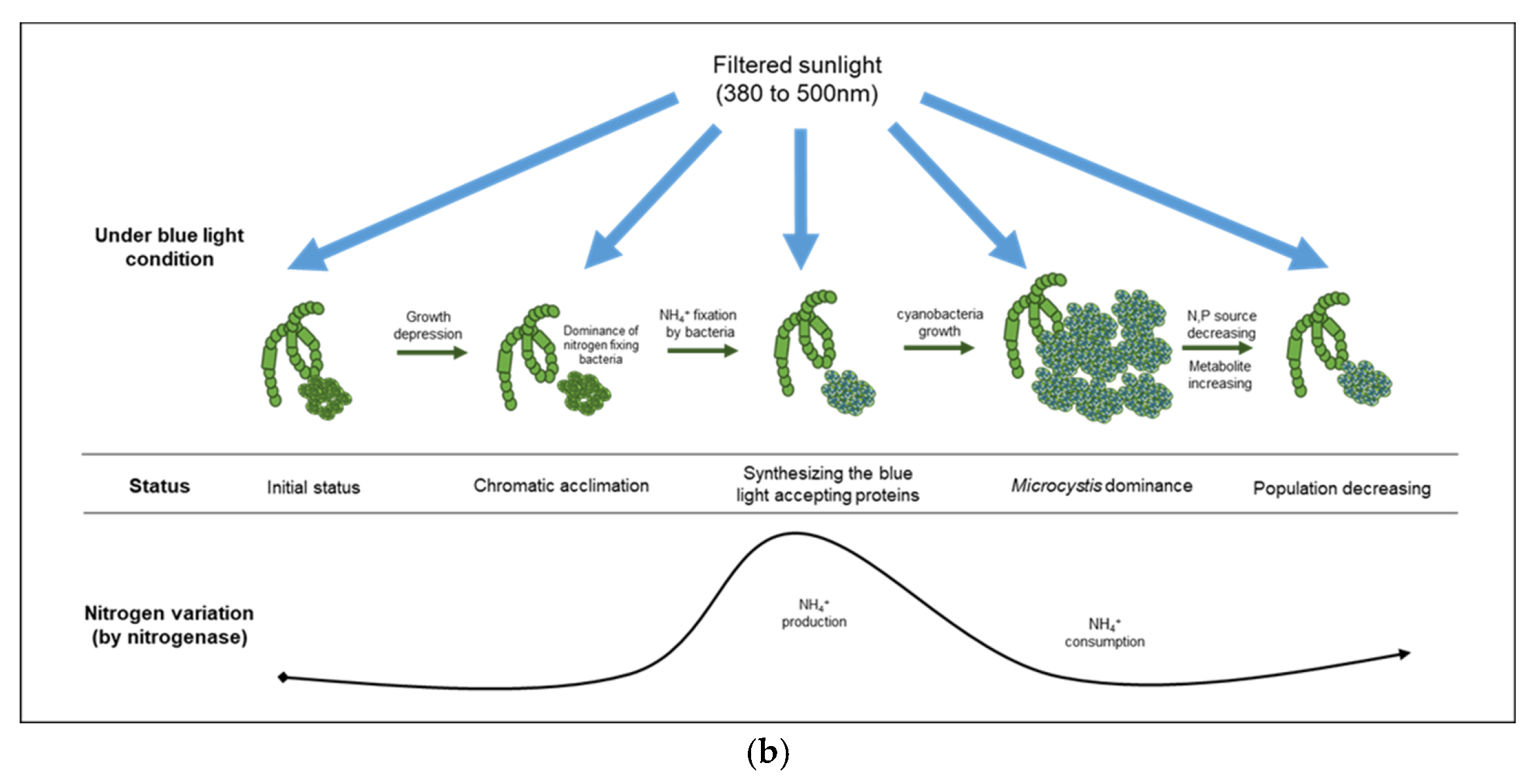Microorganisms 10 02150 g006b Microorganisms 10 02150 g006b