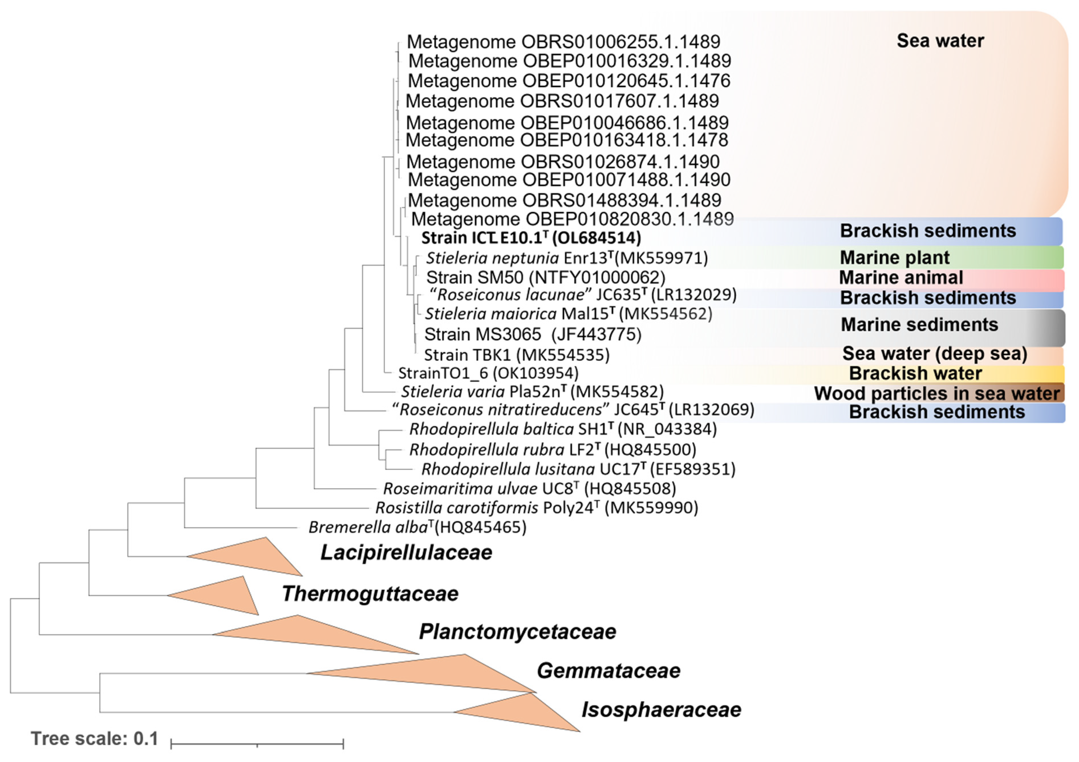 Microorganisms 10 02151 g003 Microorganisms 10 02151 g003