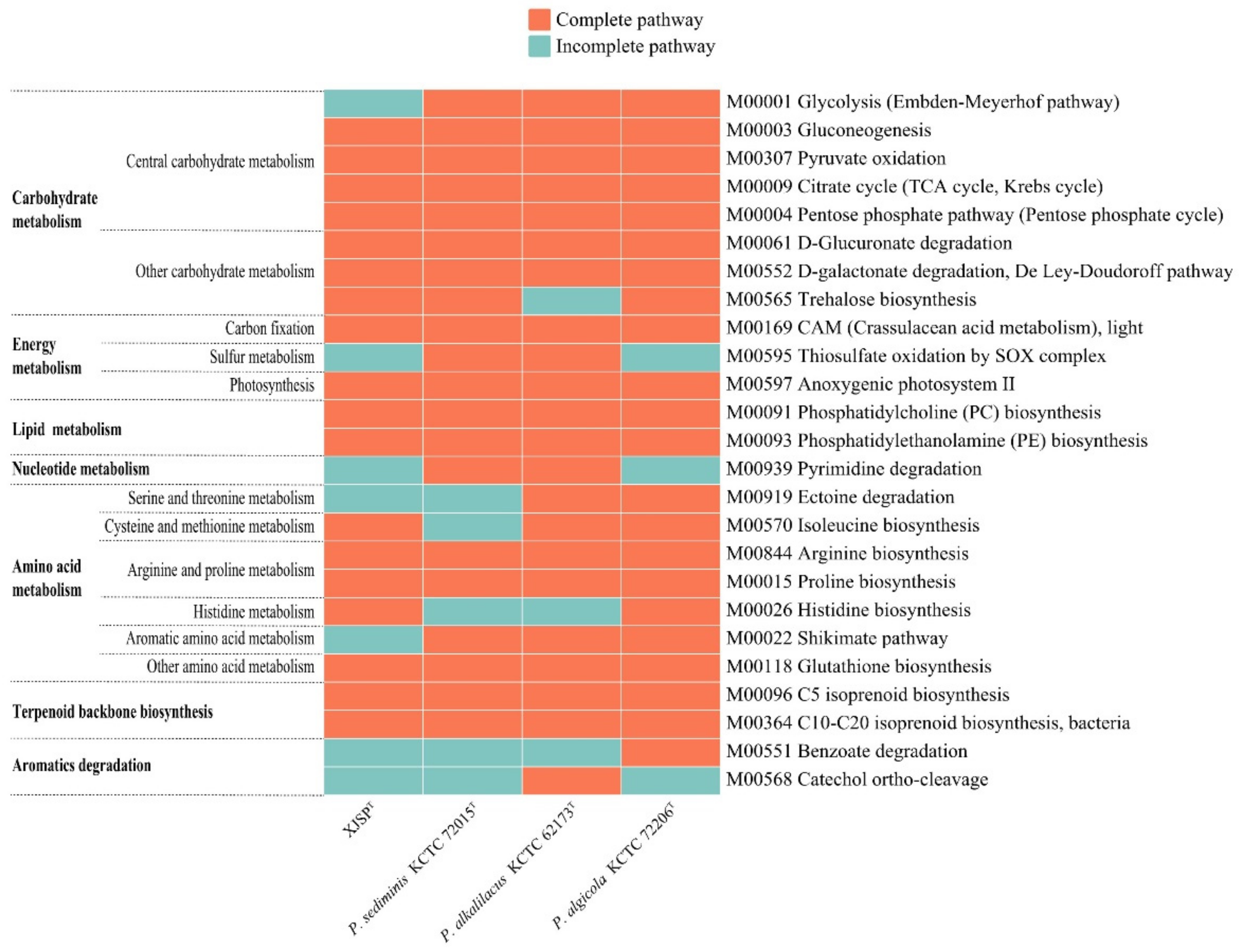 Microorganisms 10 02154 g004 Microorganisms 10 02154 g004