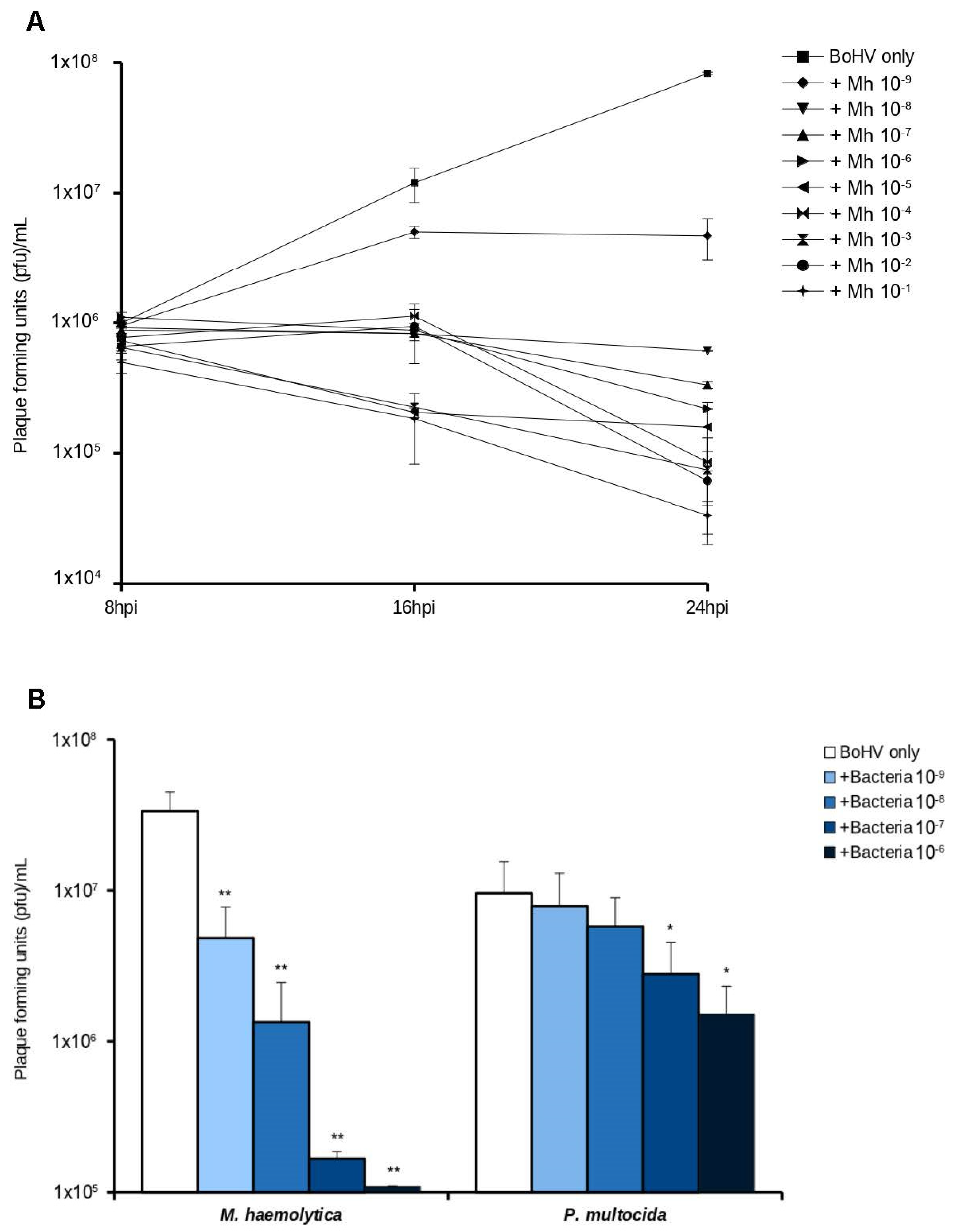 Microorganisms 10 02158 g001 Microorganisms 10 02158 g001