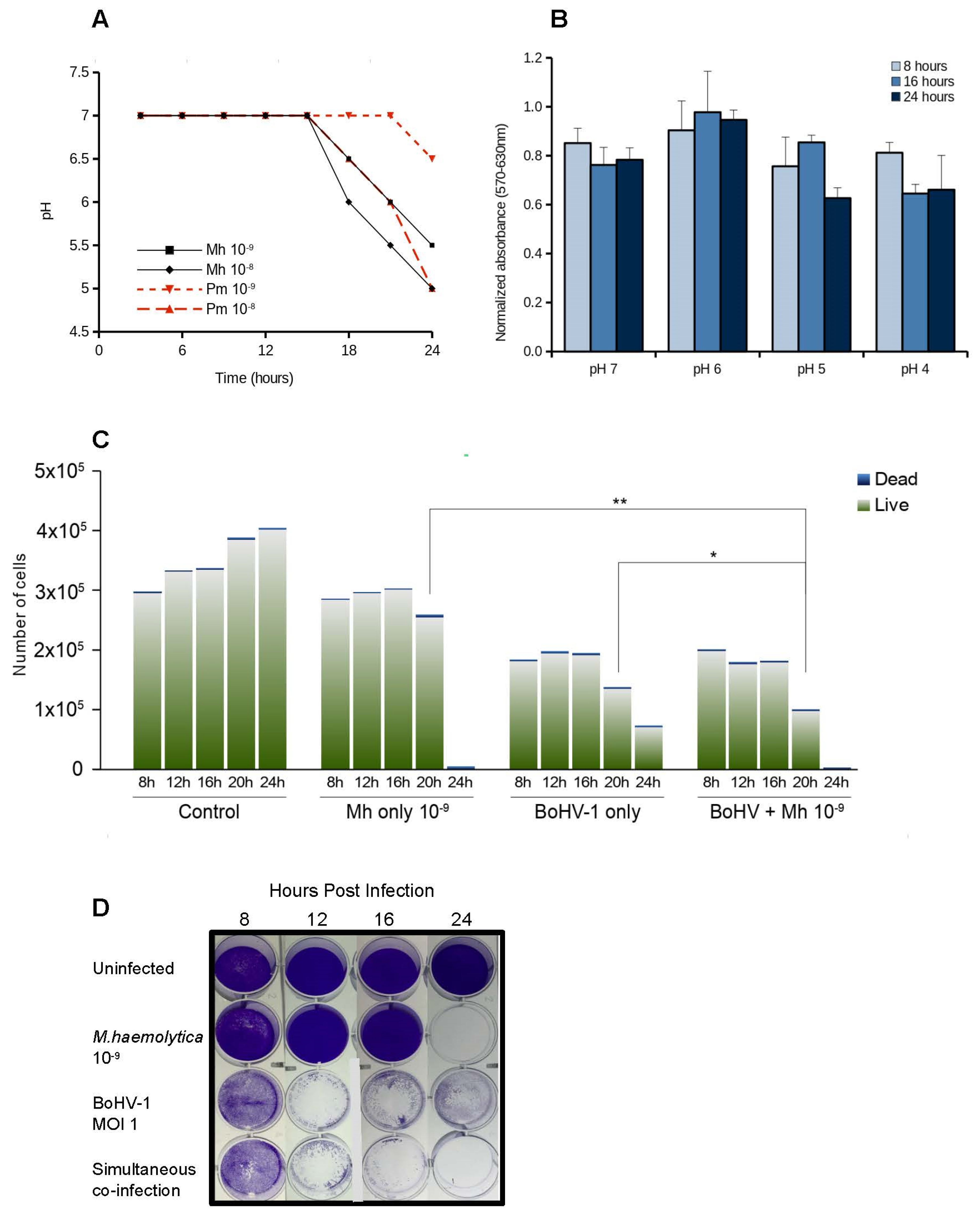 Microorganisms 10 02158 g004 Microorganisms 10 02158 g004