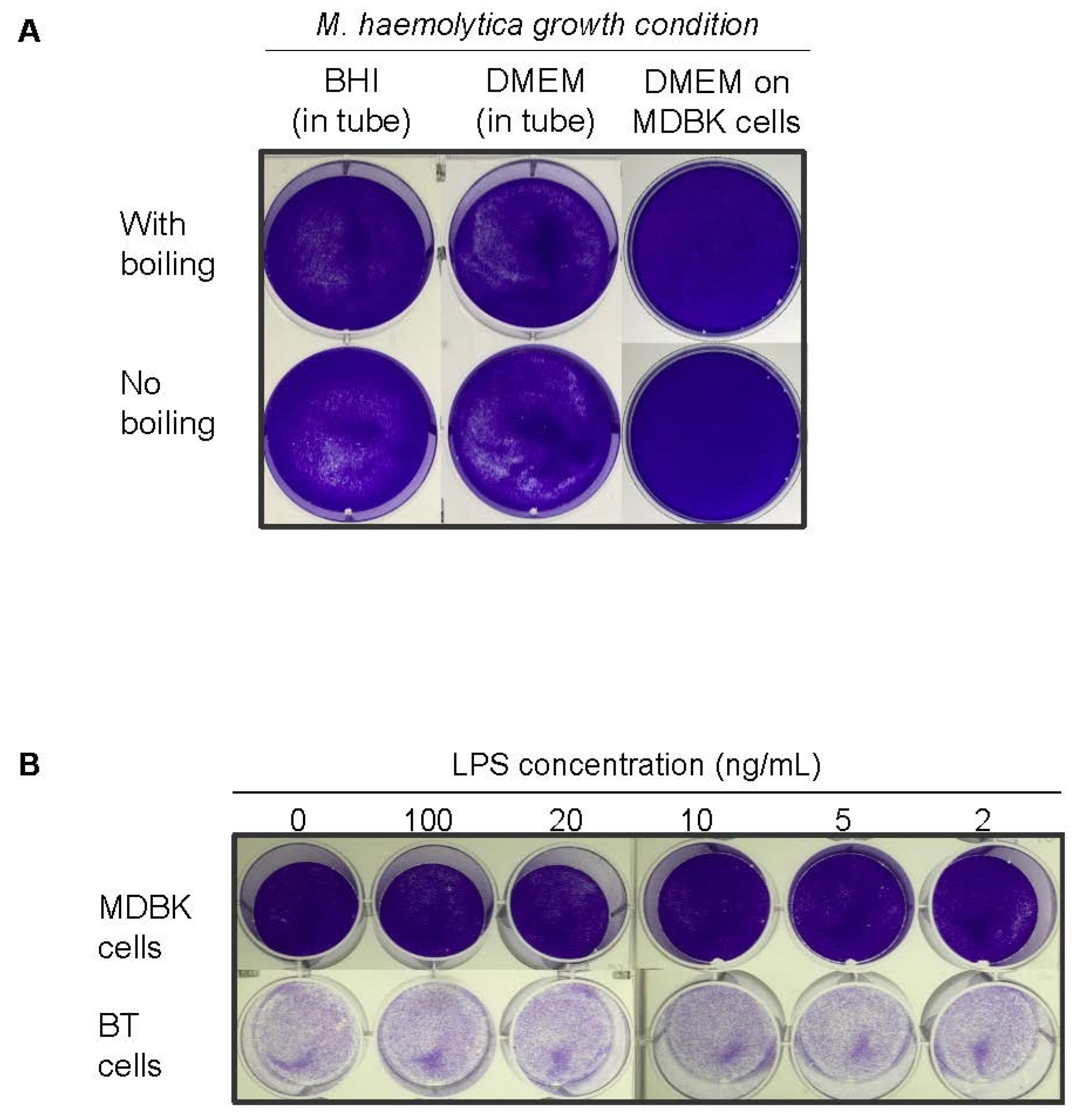 Microorganisms 10 02158 g005 Microorganisms 10 02158 g005