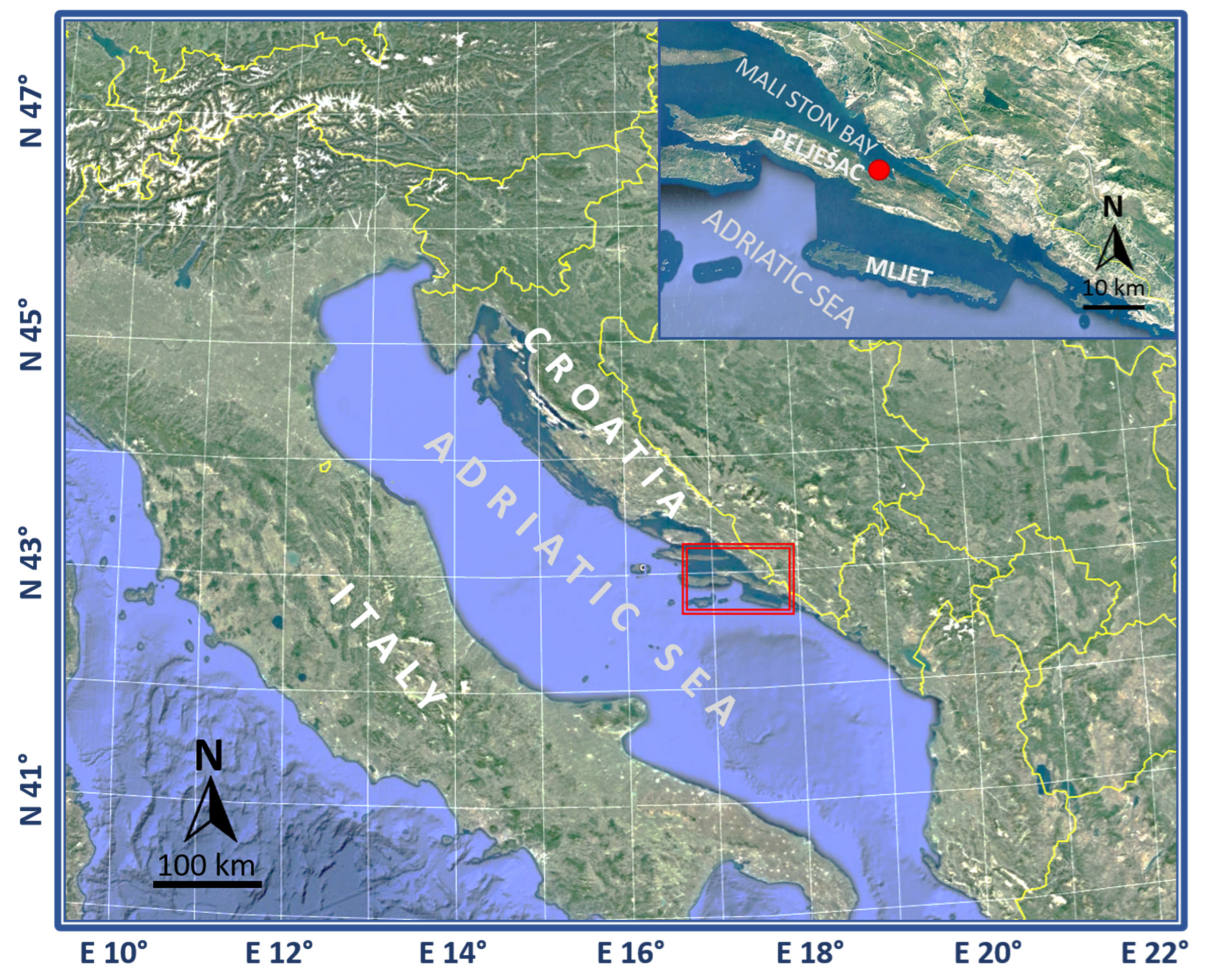 Microorganisms 10 02159 g001