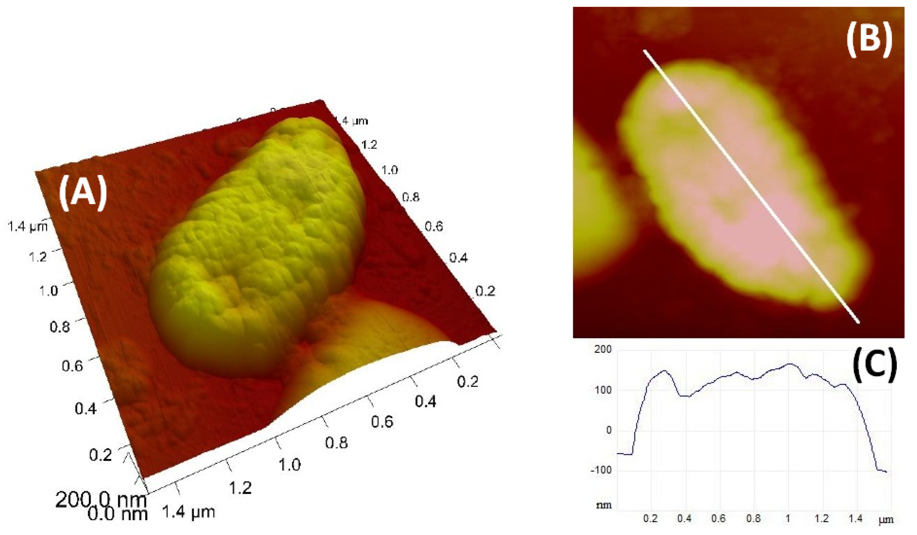 Microorganisms 10 02159 g006