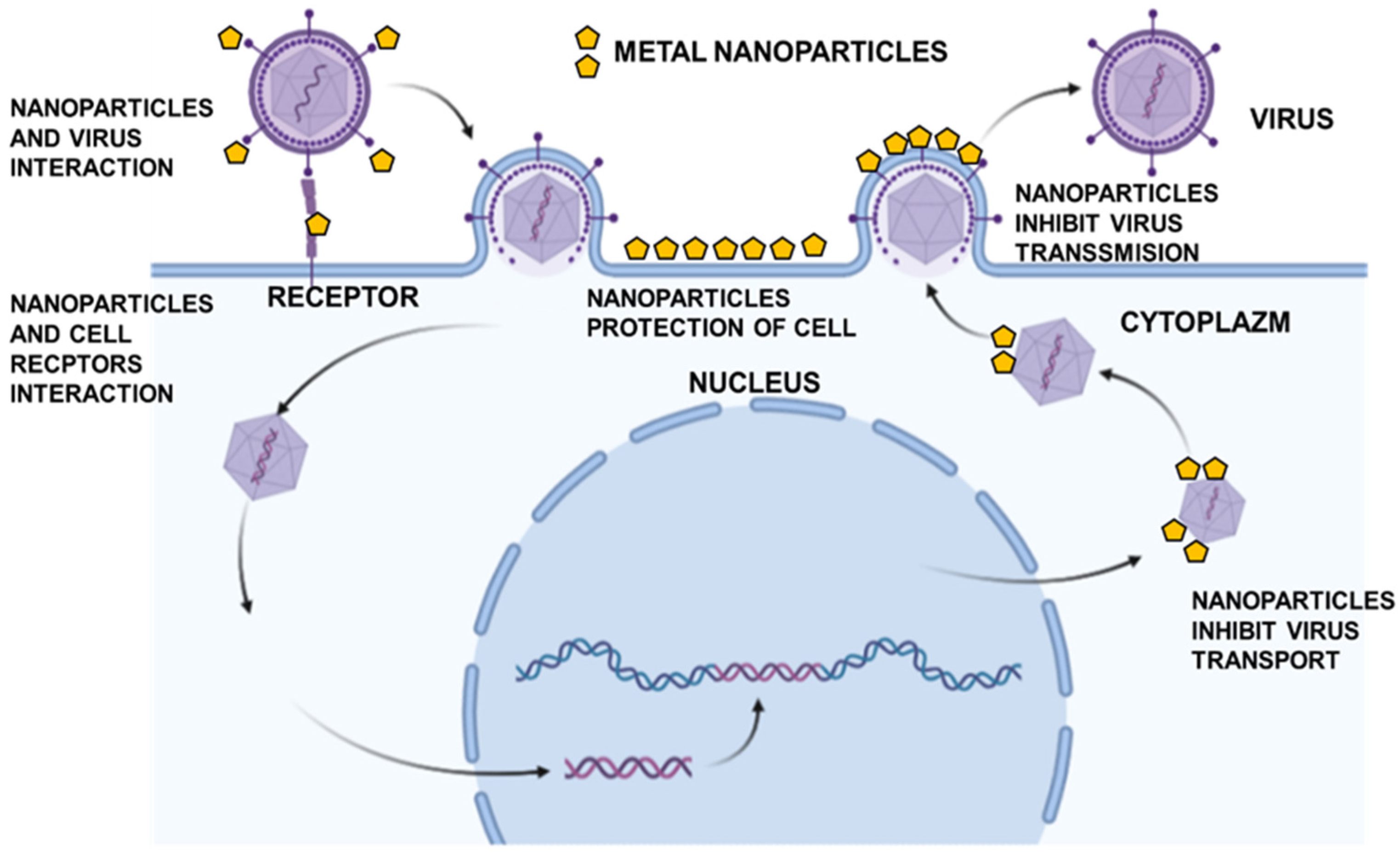 Microorganisms 10 02161 g001