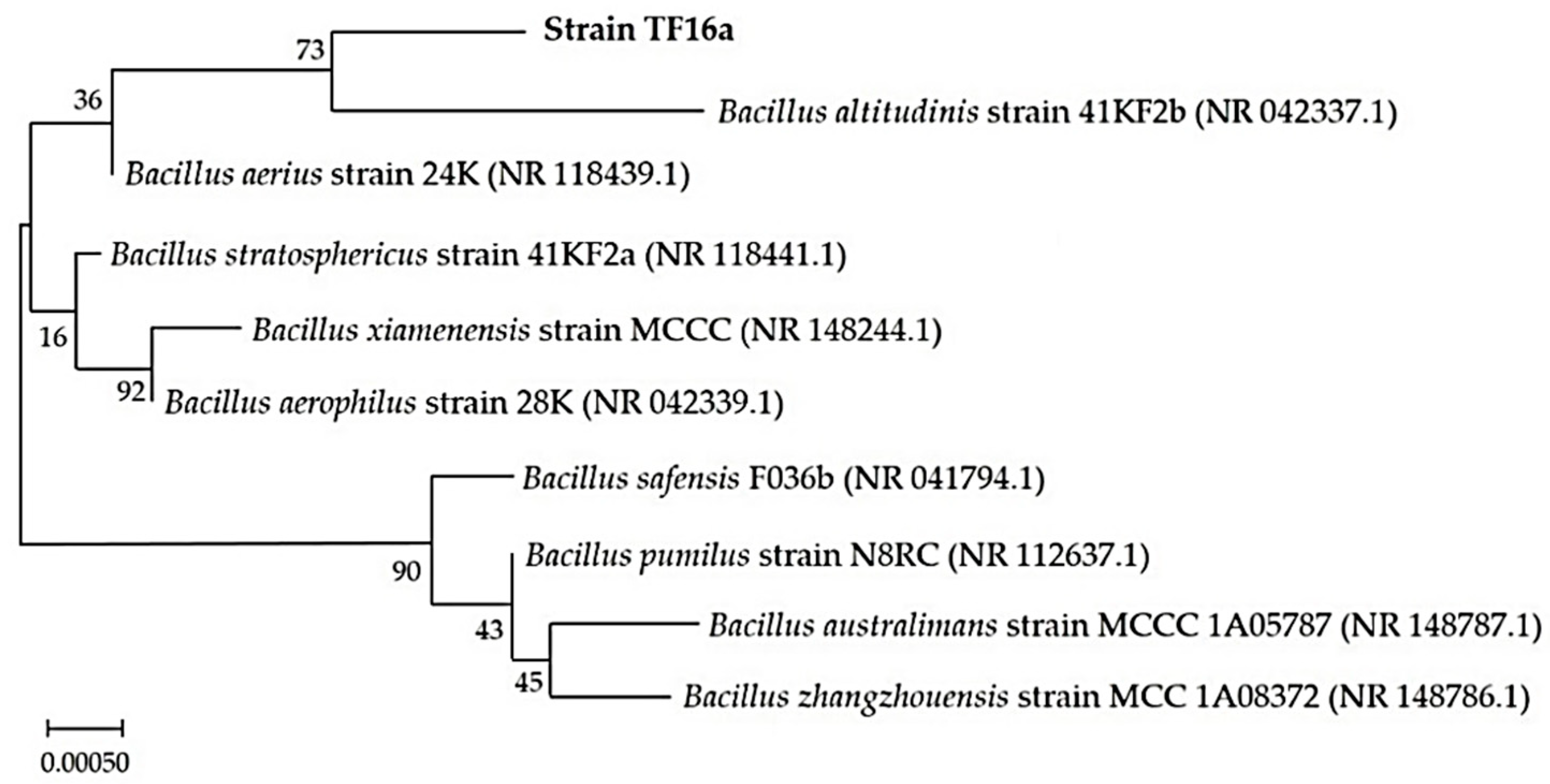 Microorganisms 10 02164 g001 Microorganisms 10 02164 g001