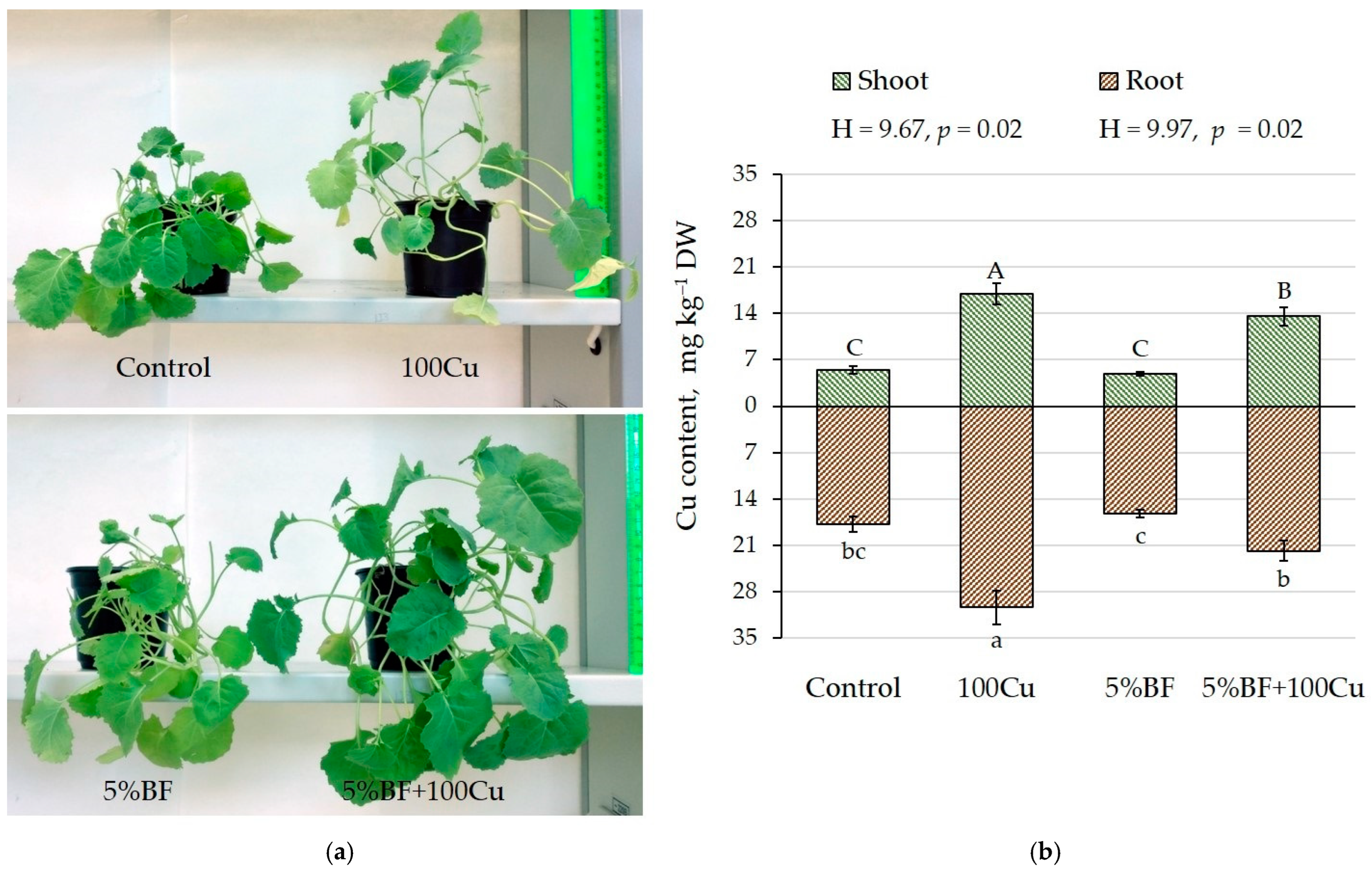 Microorganisms 10 02164 g003 Microorganisms 10 02164 g003