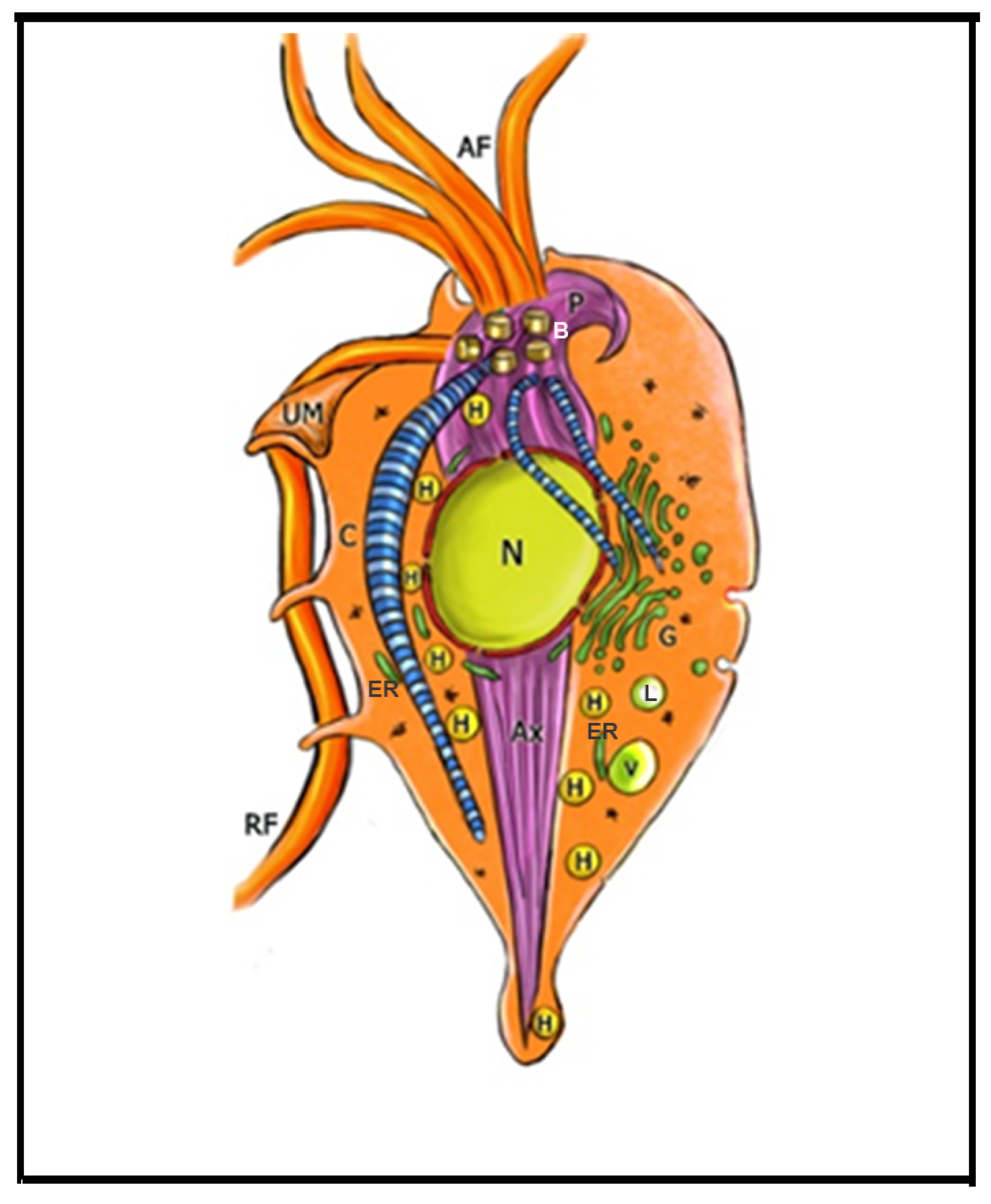 Microorganisms 10 02176 g001