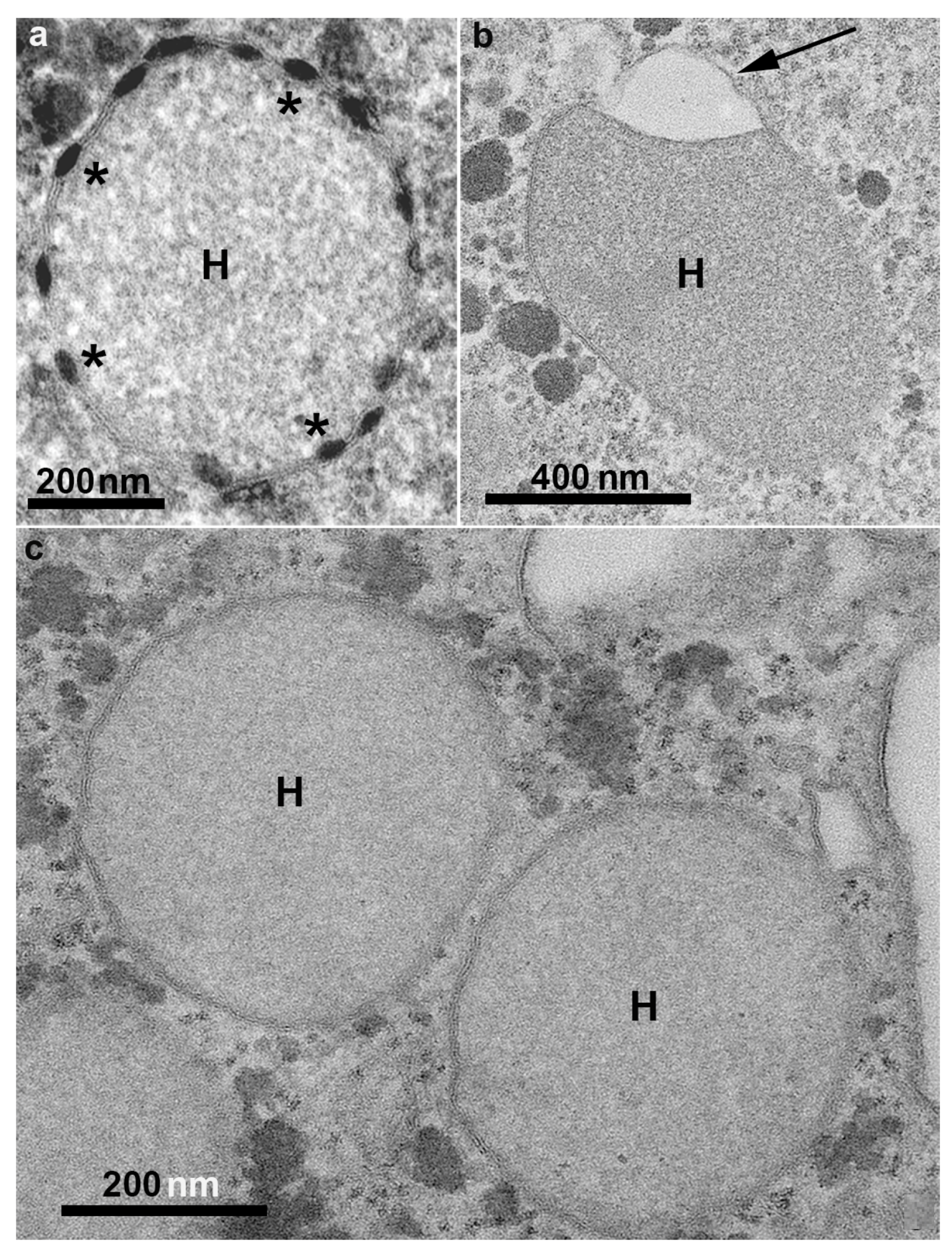 Microorganisms 10 02176 g005