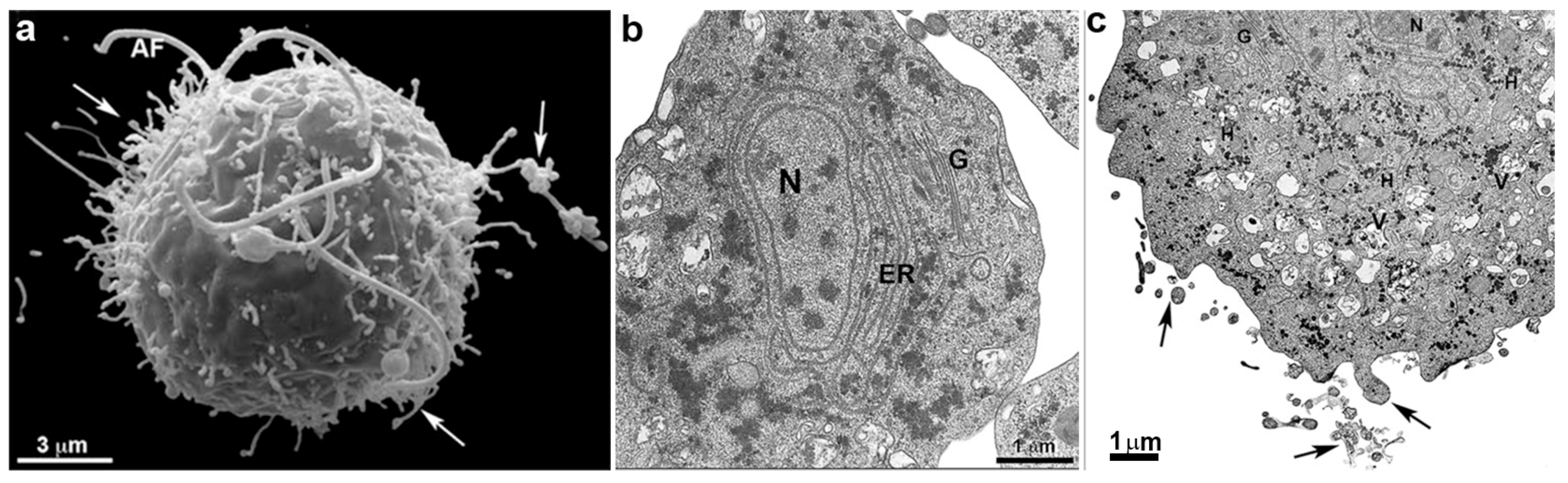 Microorganisms 10 02176 g009
