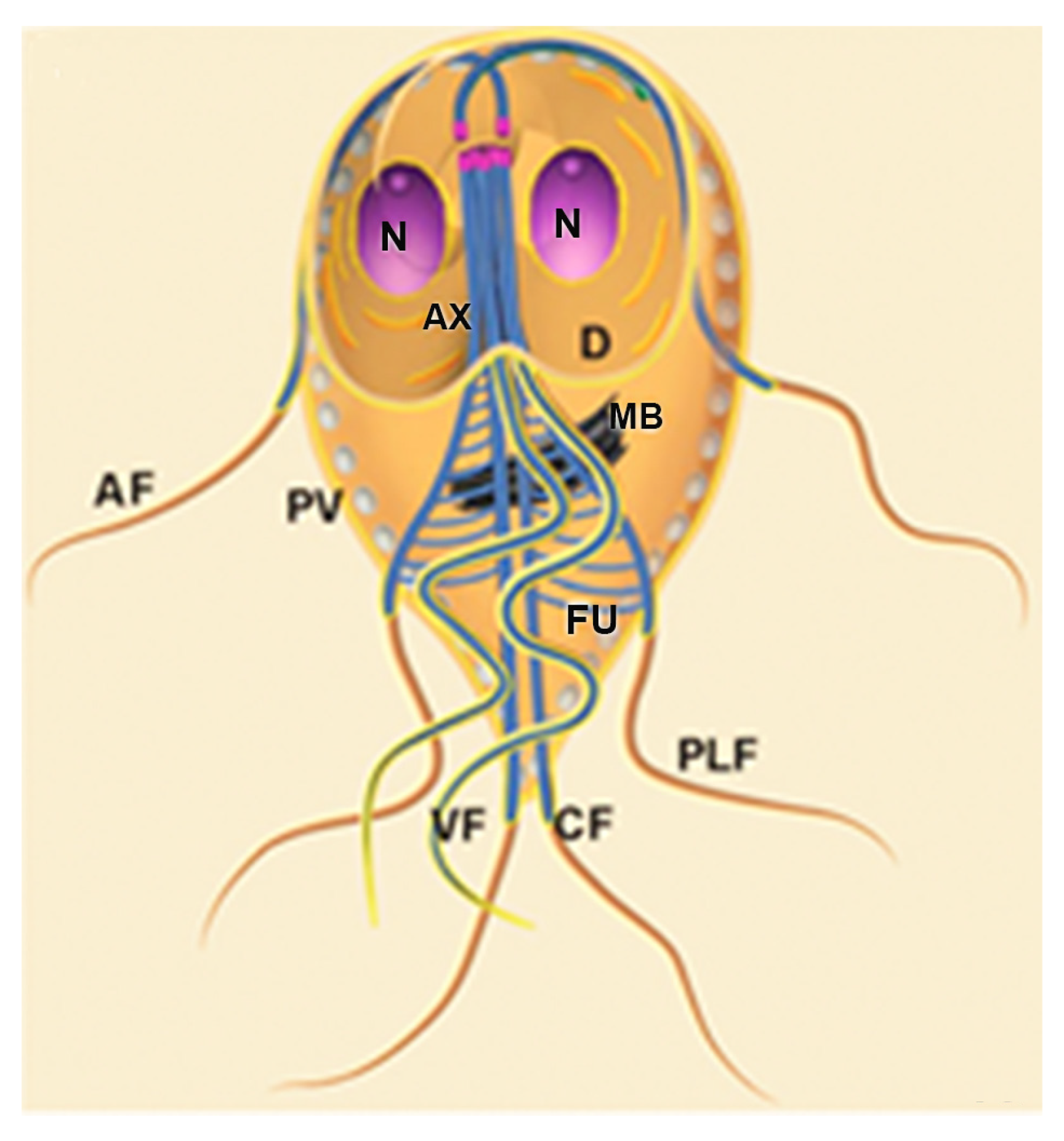 Microorganisms 10 02176 g010