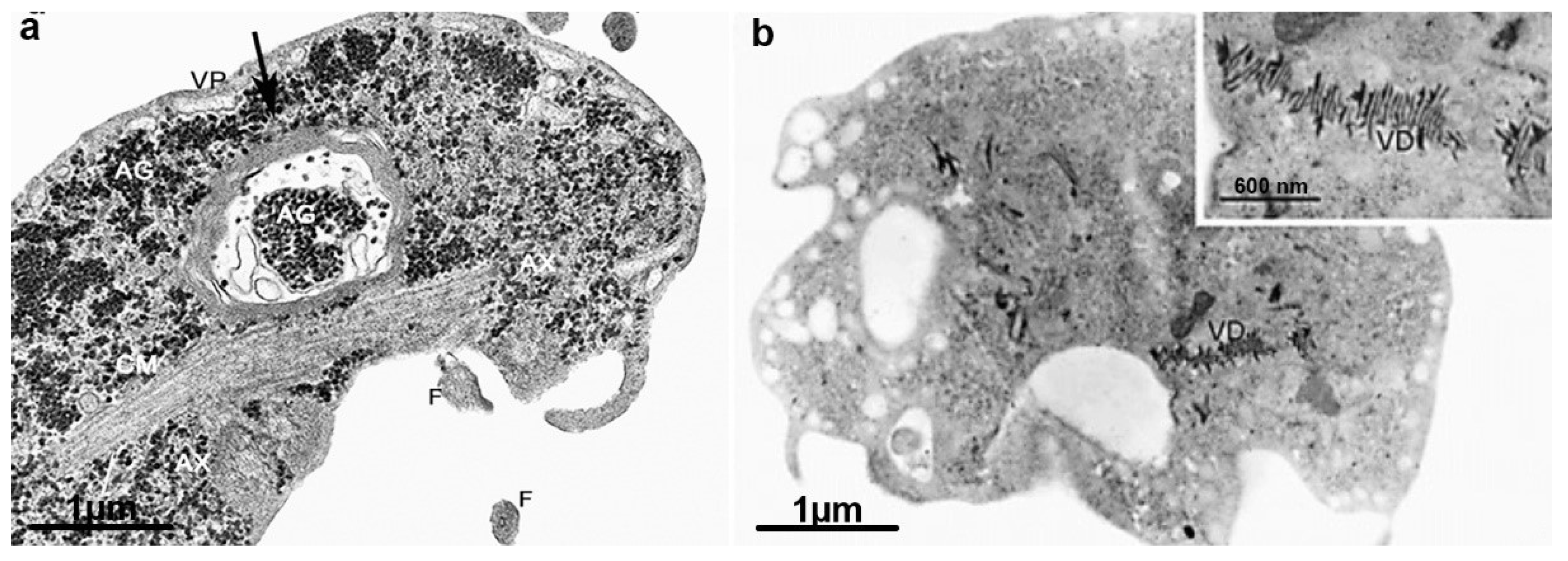Microorganisms 10 02176 g016