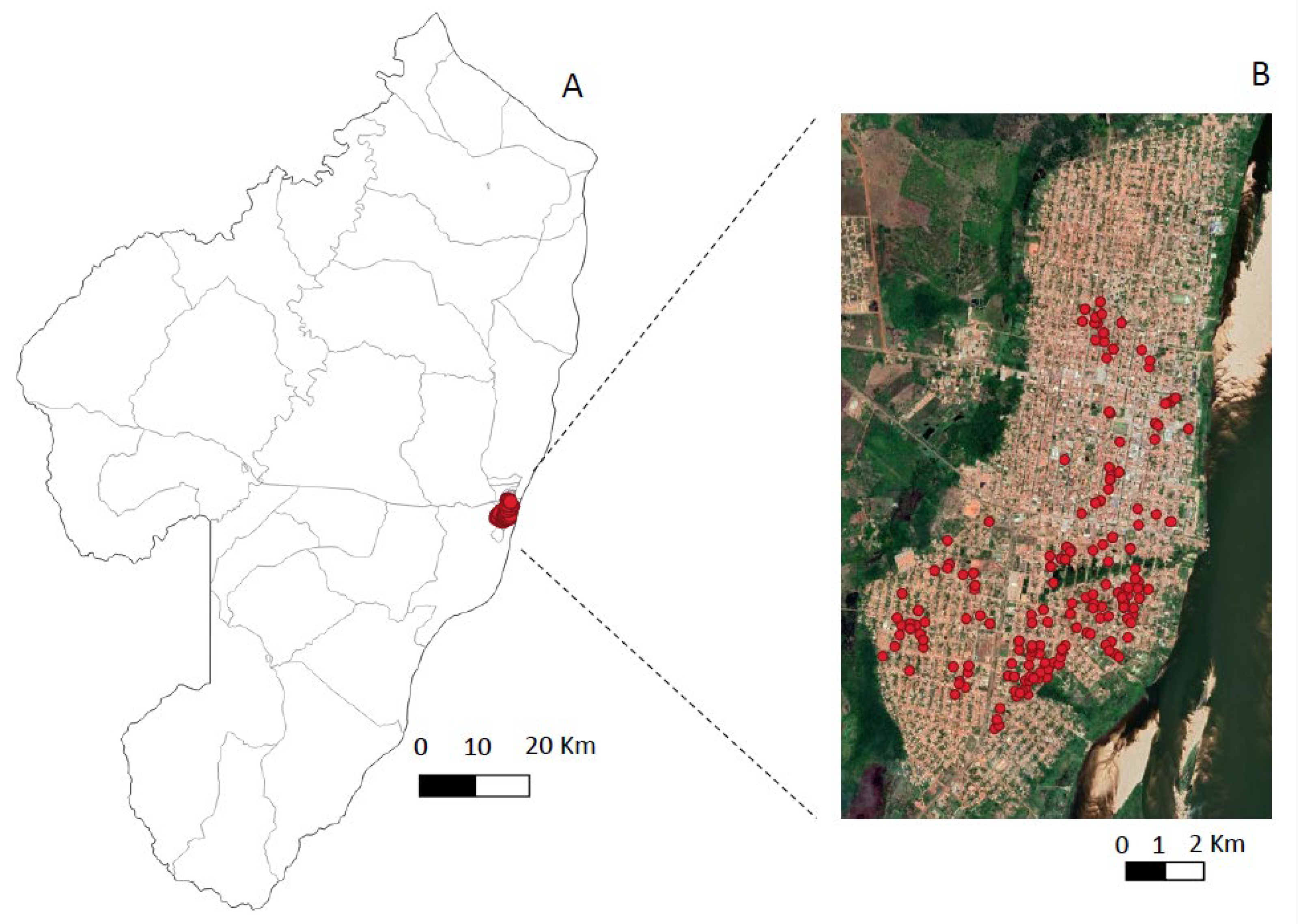 Microorganisms 10 02188 g003
