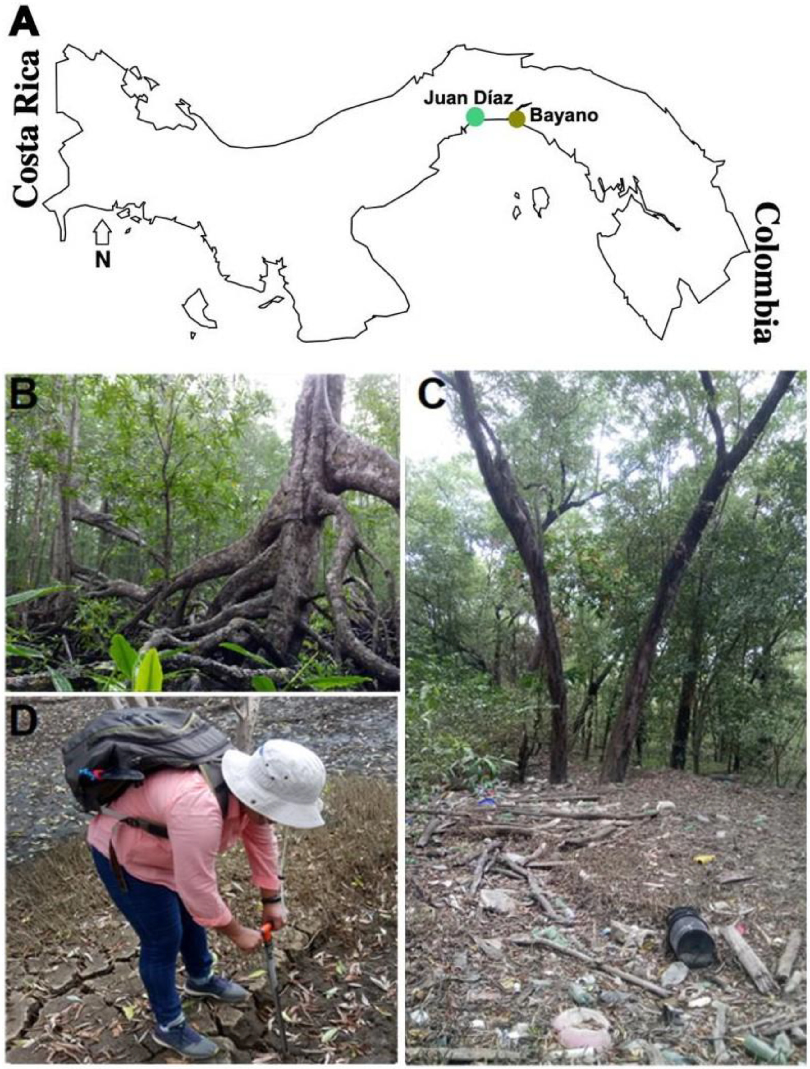 Microorganisms 10 02191 g001 Microorganisms 10 02191 g001
