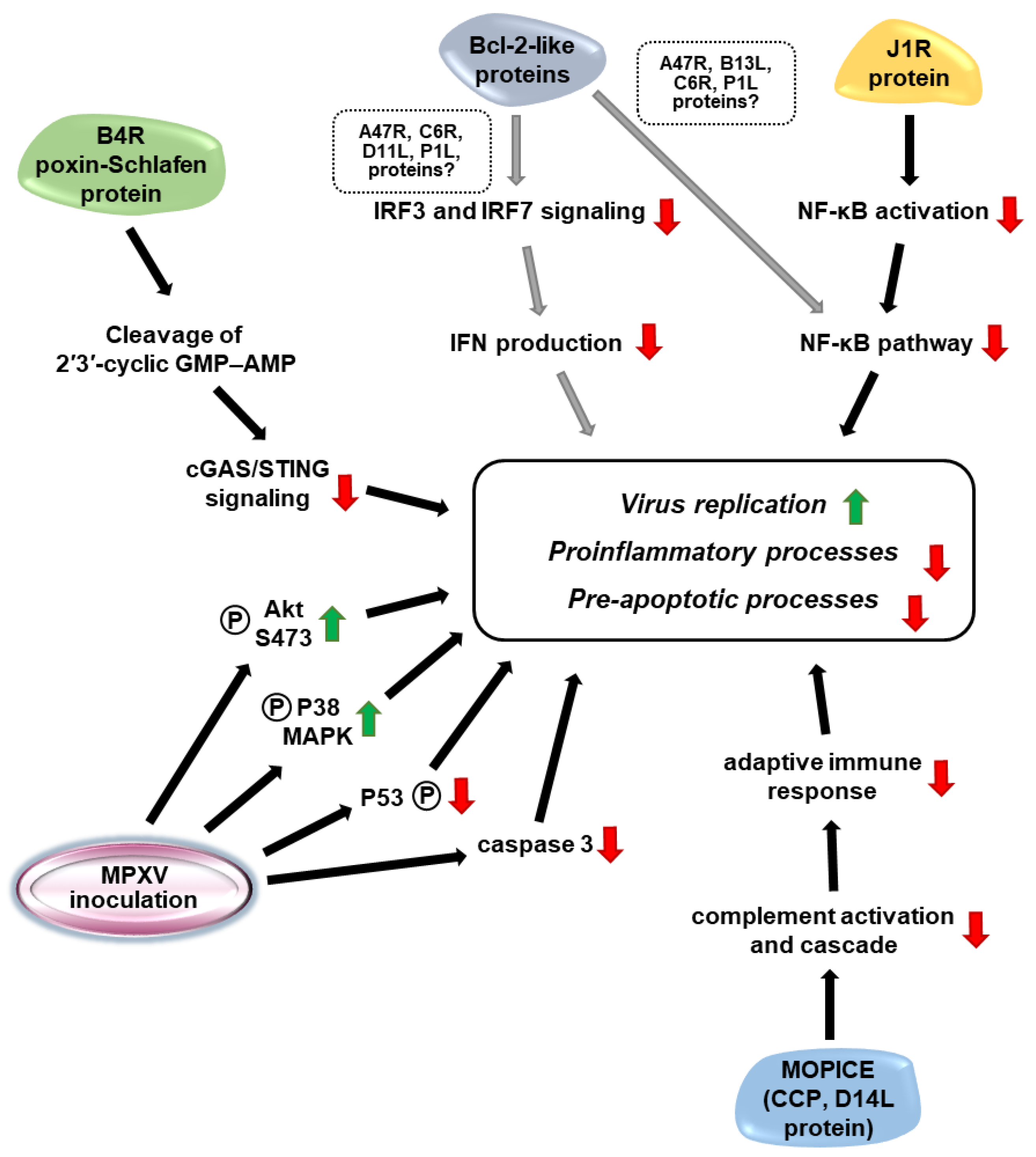 Microorganisms 10 02192 g003