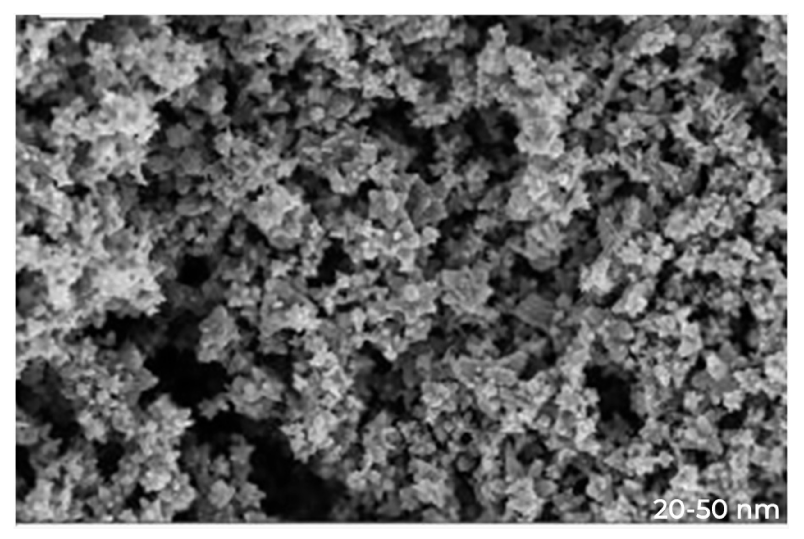 Microorganisms 10 02195 g002