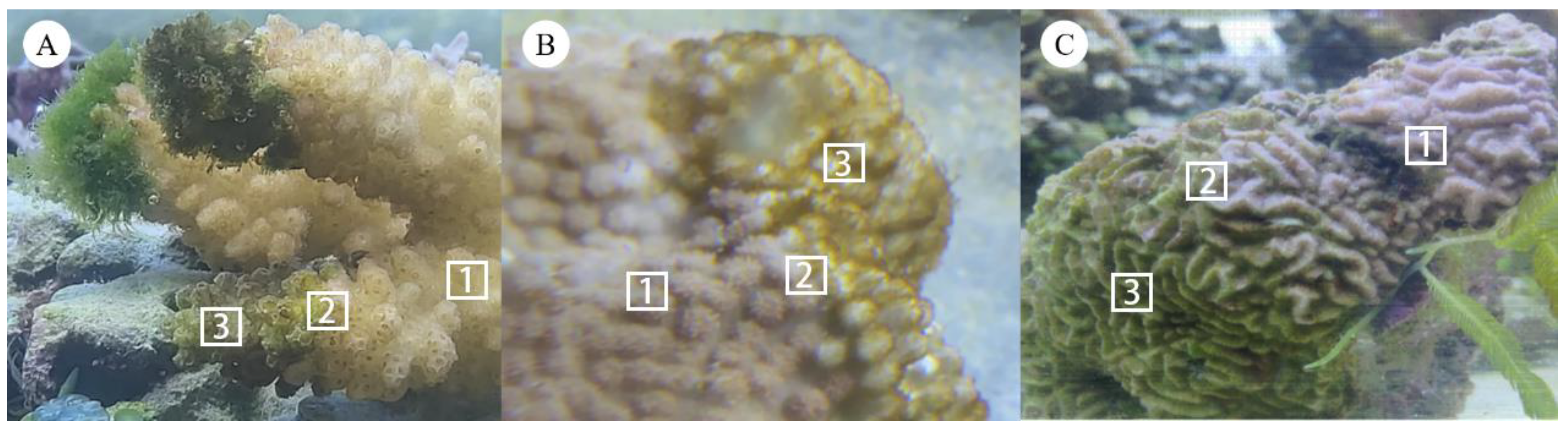 Microorganisms 10 02196 g001