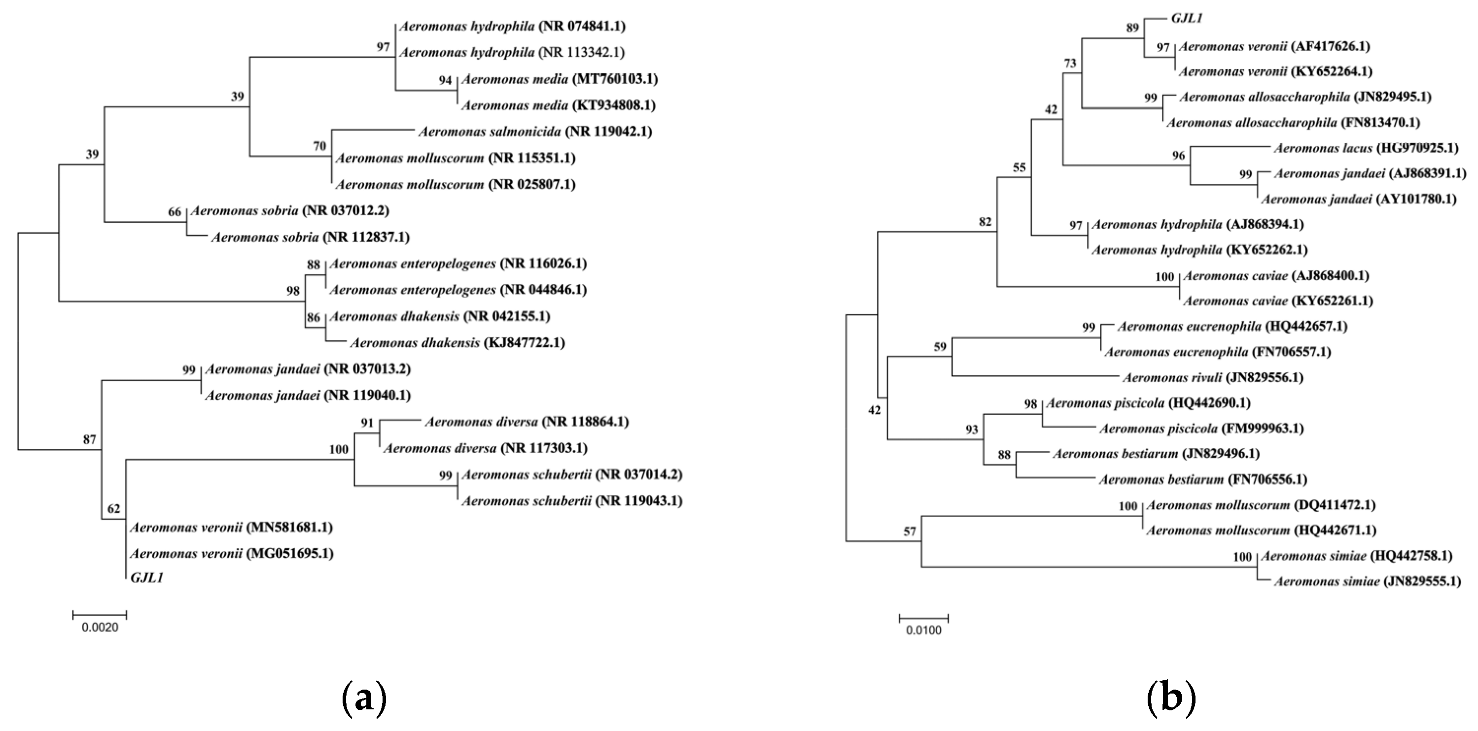 Microorganisms 10 02198 g004 Microorganisms 10 02198 g004