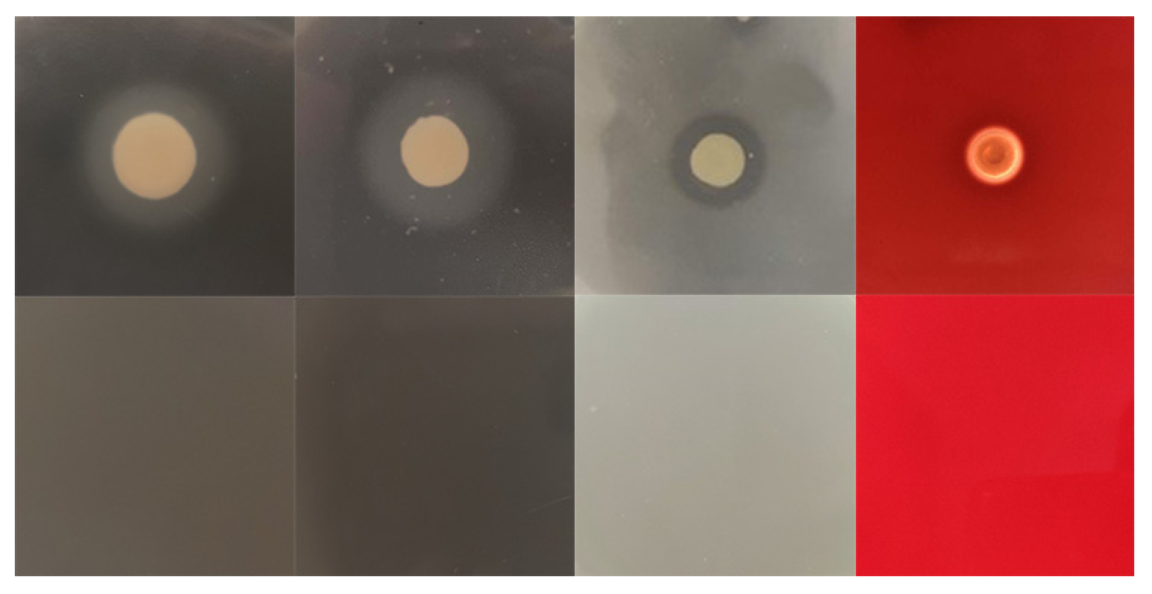 Microorganisms 10 02198 g005 Microorganisms 10 02198 g005