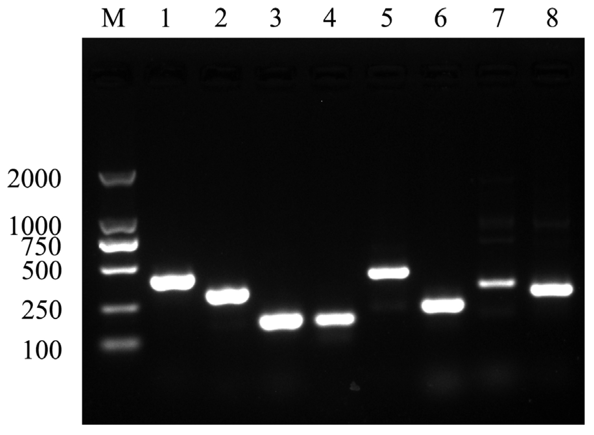 Microorganisms 10 02198 g006 Microorganisms 10 02198 g006