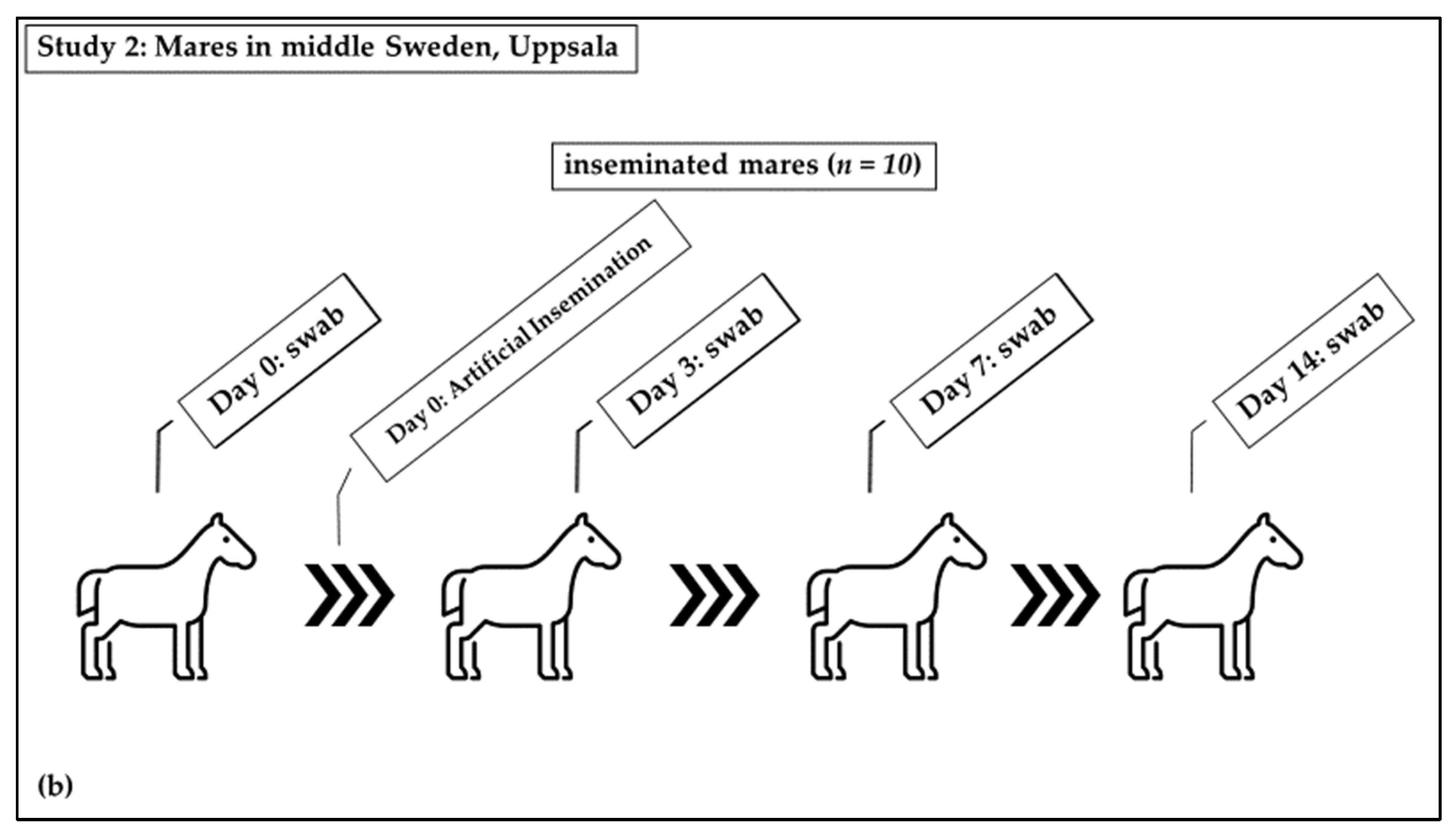 Microorganisms 10 02204 g001b Microorganisms 10 02204 g001b