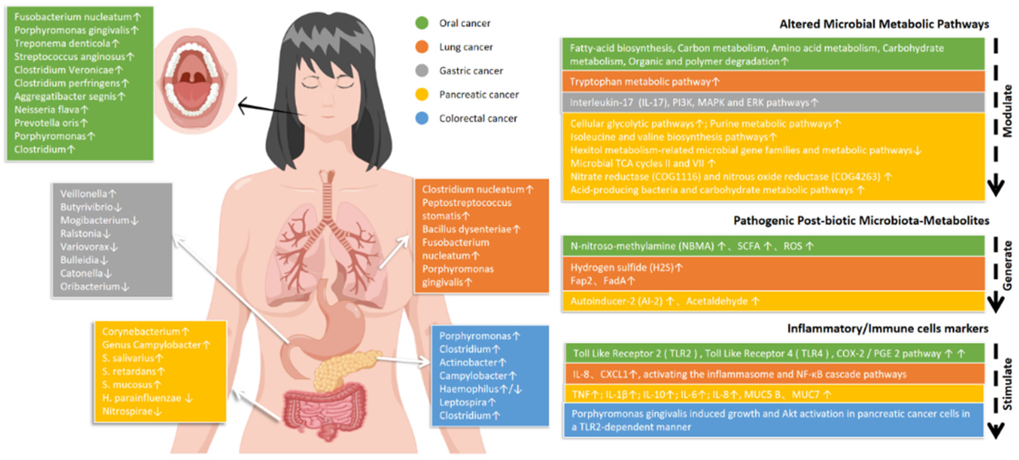 Microorganisms 10 02206 g001