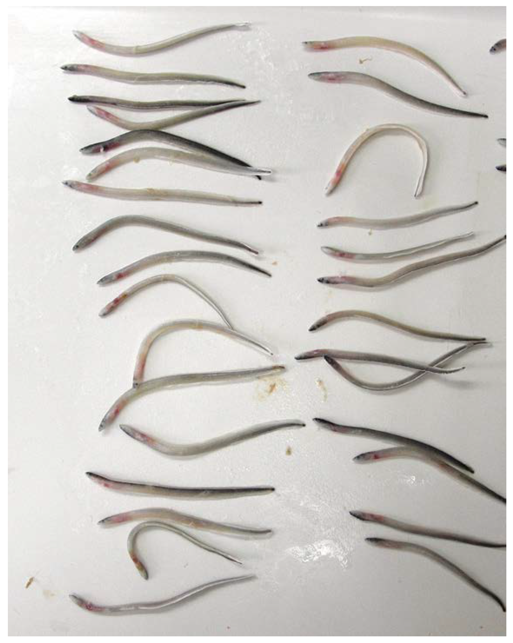 Microorganisms 10 02208 g001