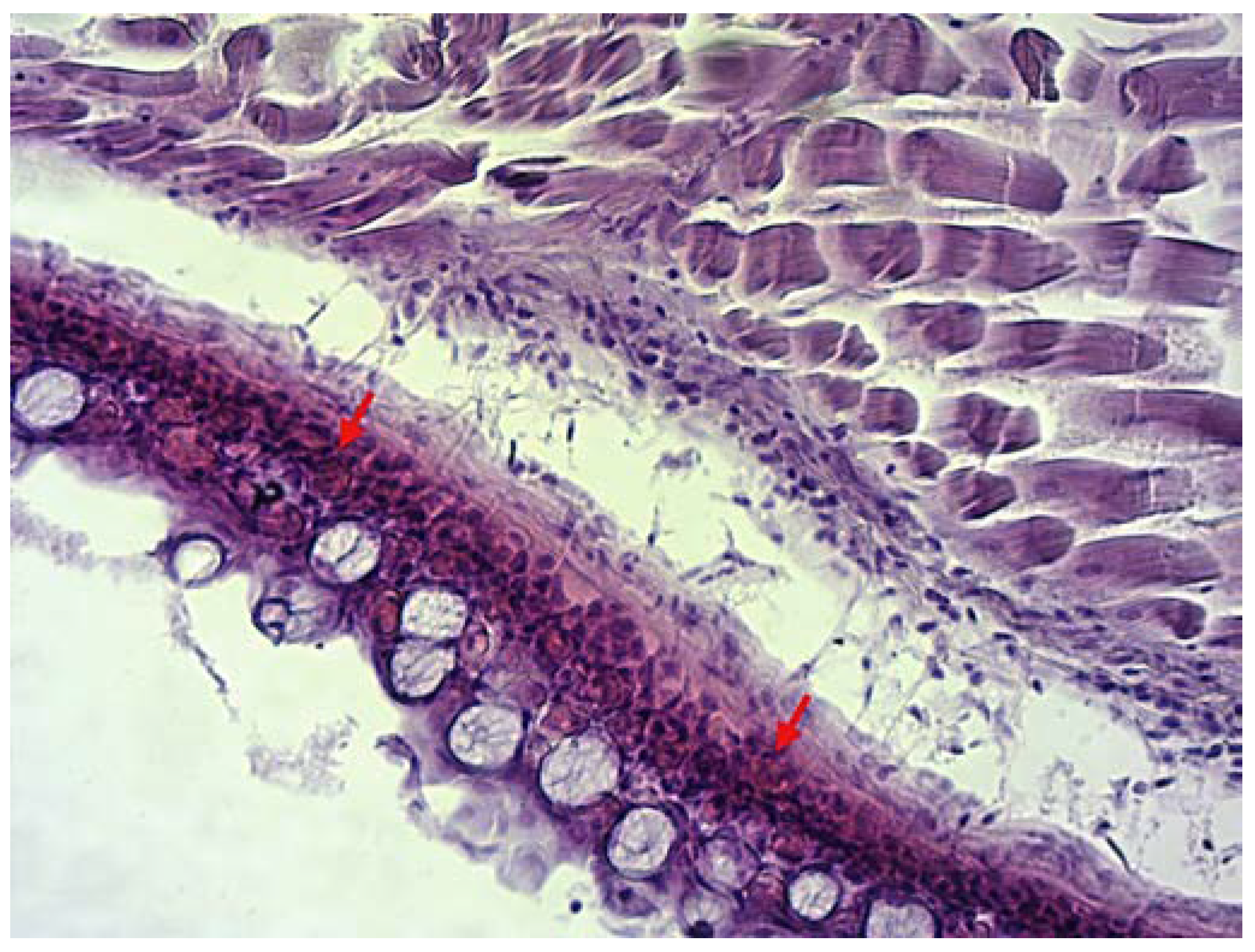Microorganisms 10 02208 g002