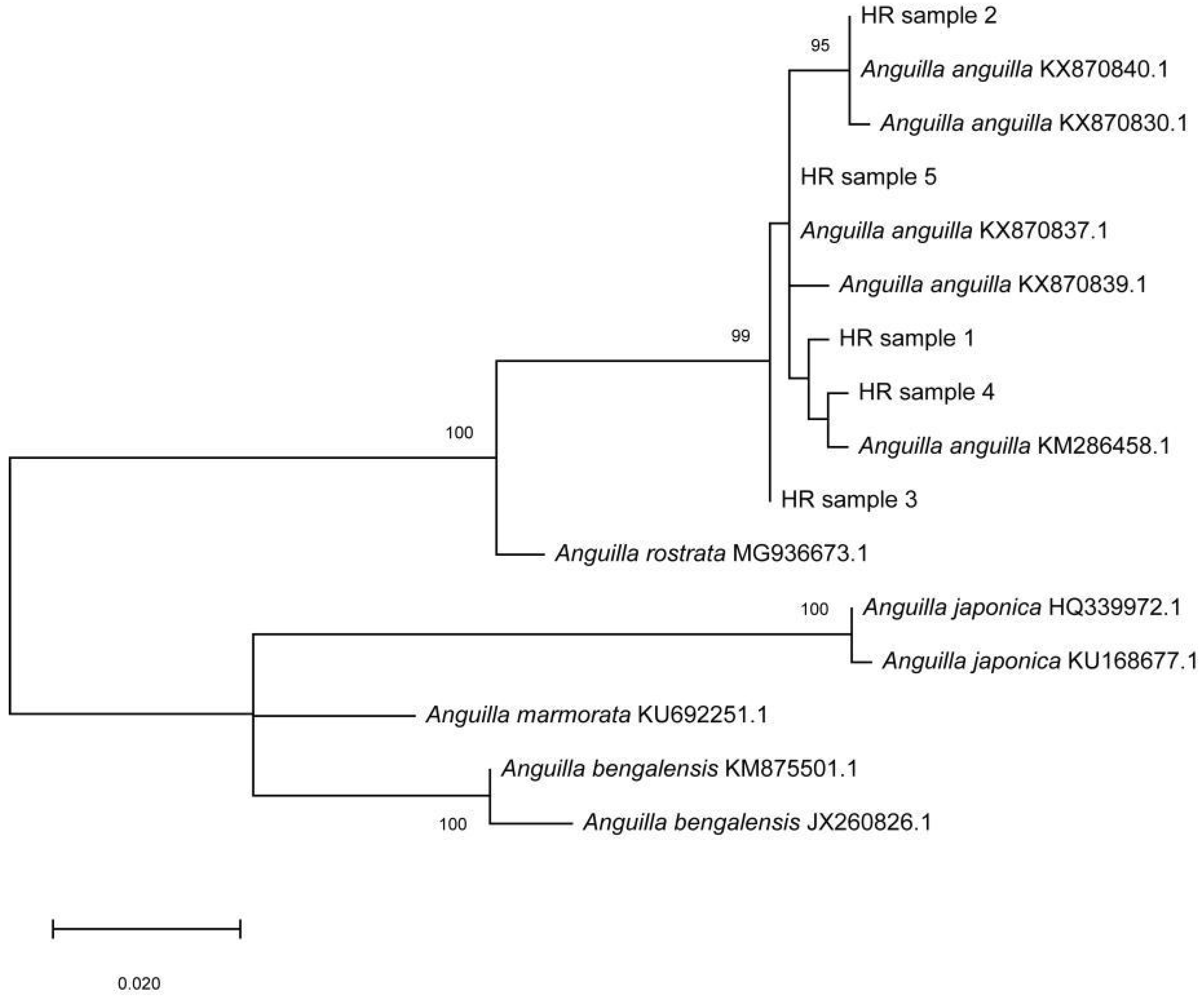 Microorganisms 10 02208 g003