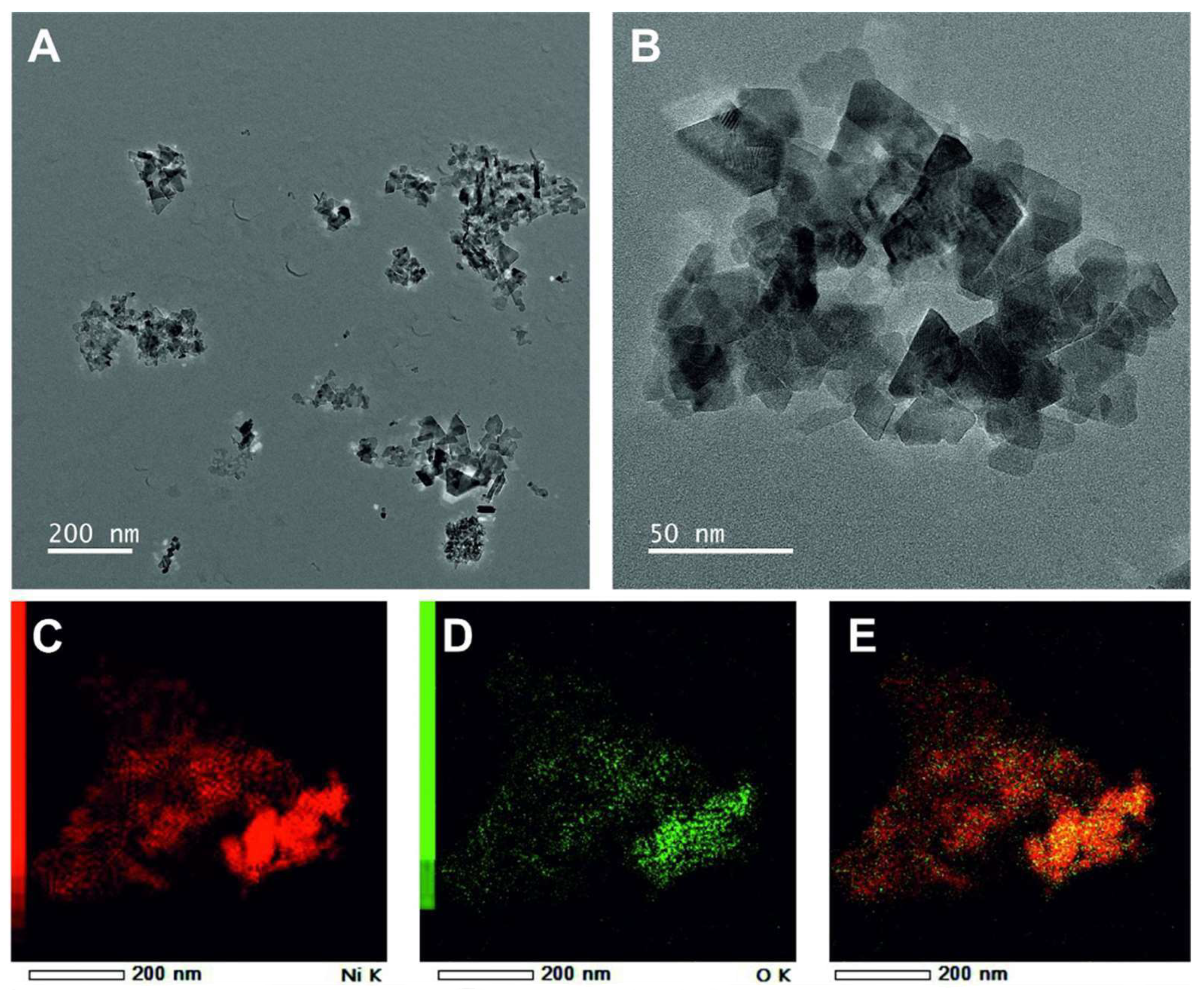 Microorganisms 10 02220 g002