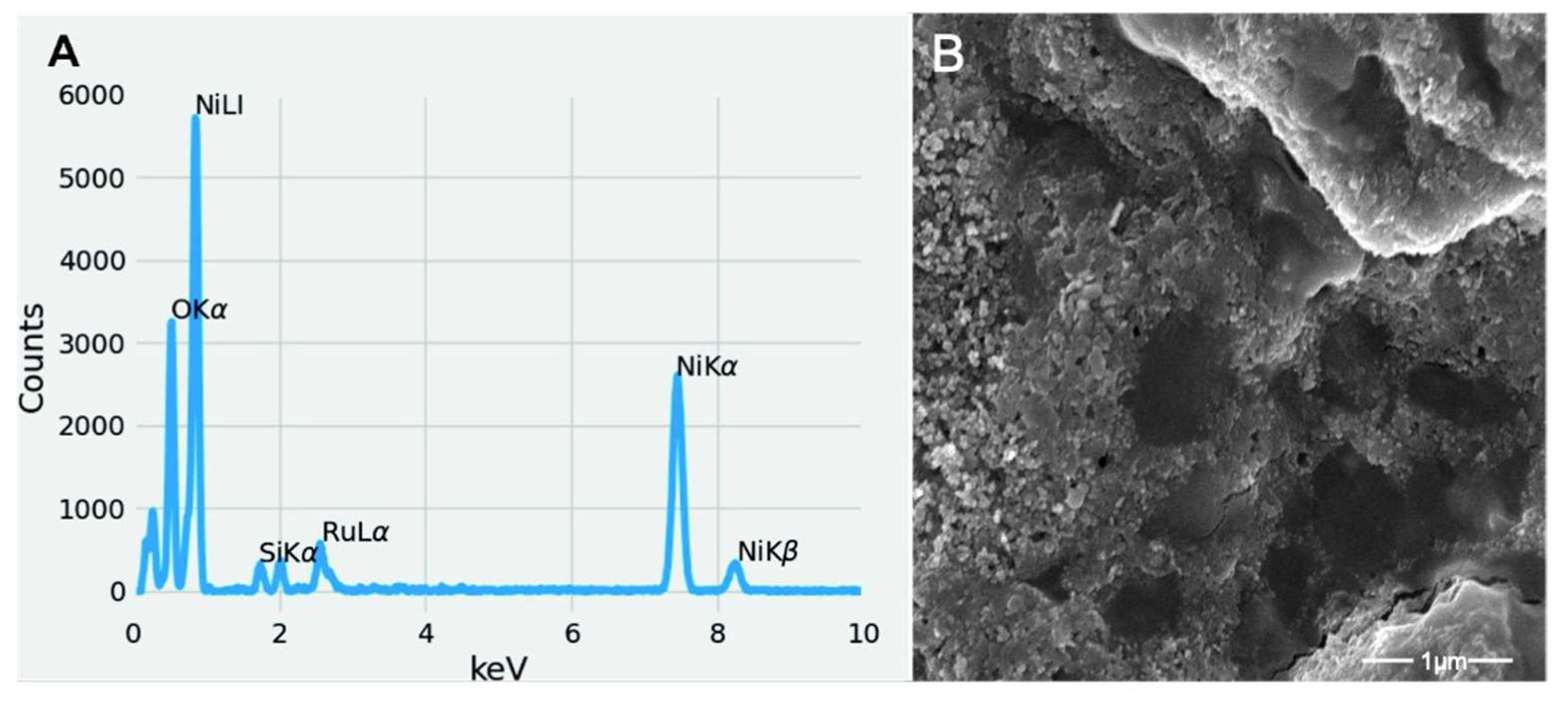 Microorganisms 10 02220 g006